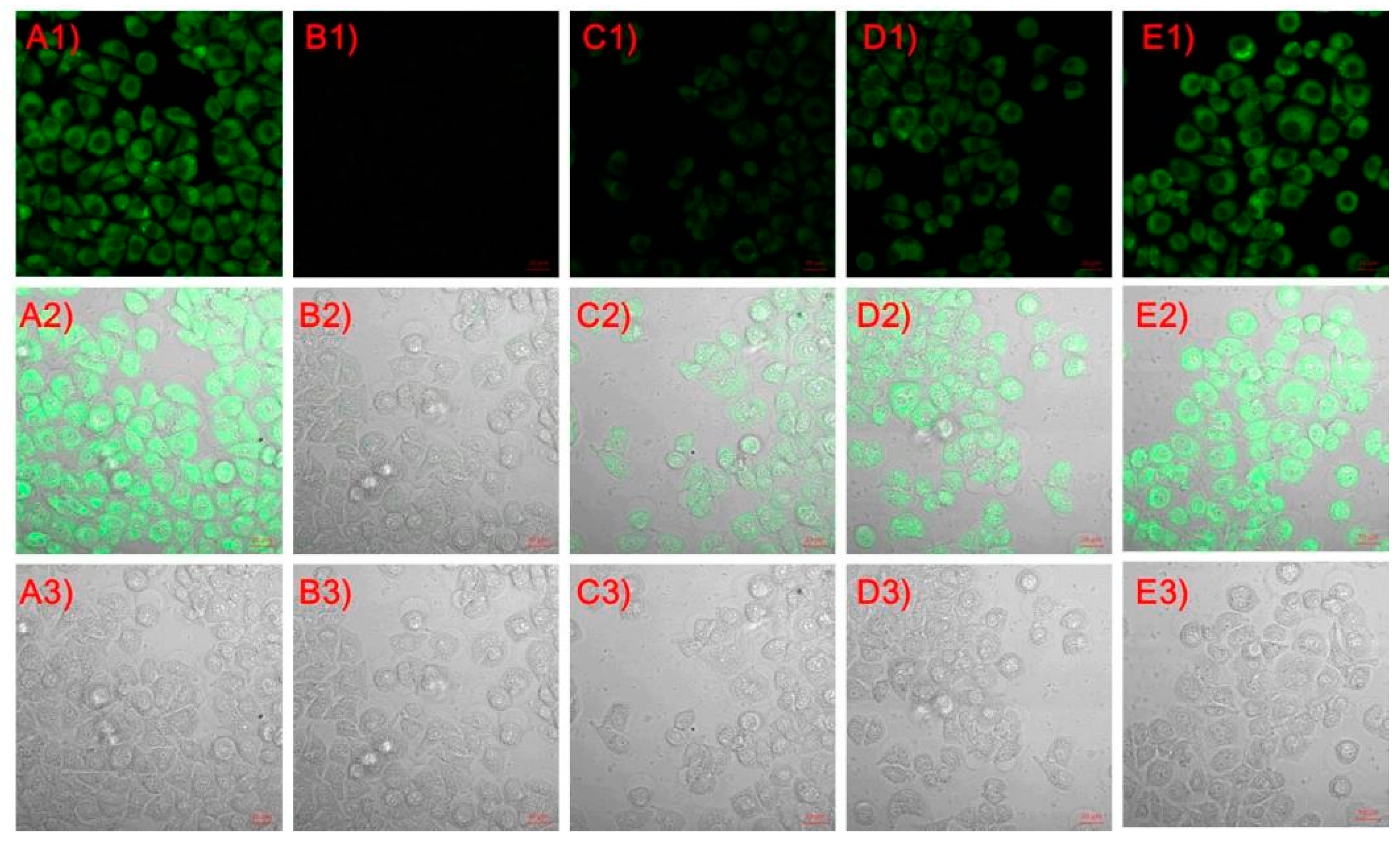 Molecules 26 02337 g011 Molecules 26 02337 g011