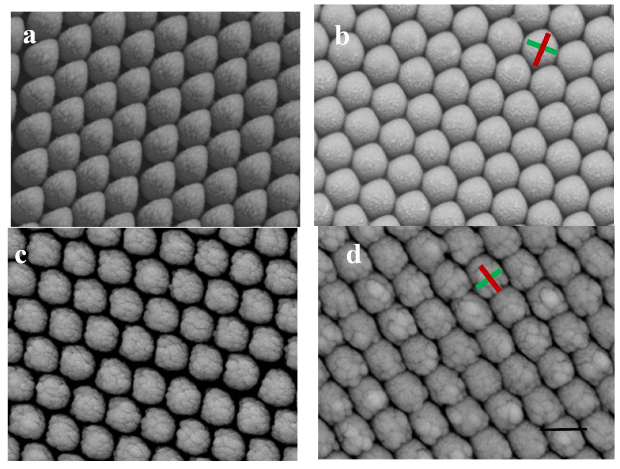 Molecules 26 02338 g002 550