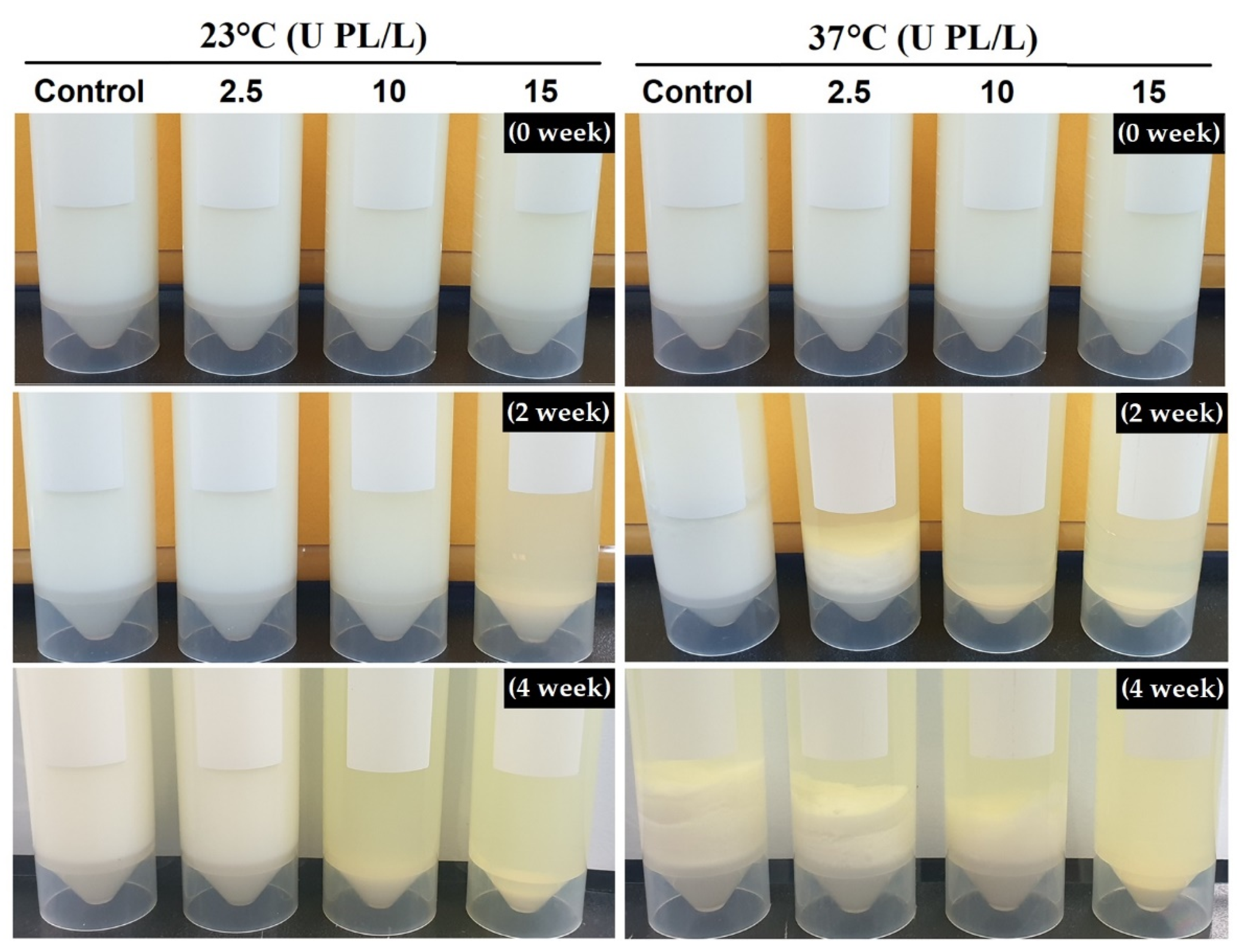 Molecules 26 02339 g002