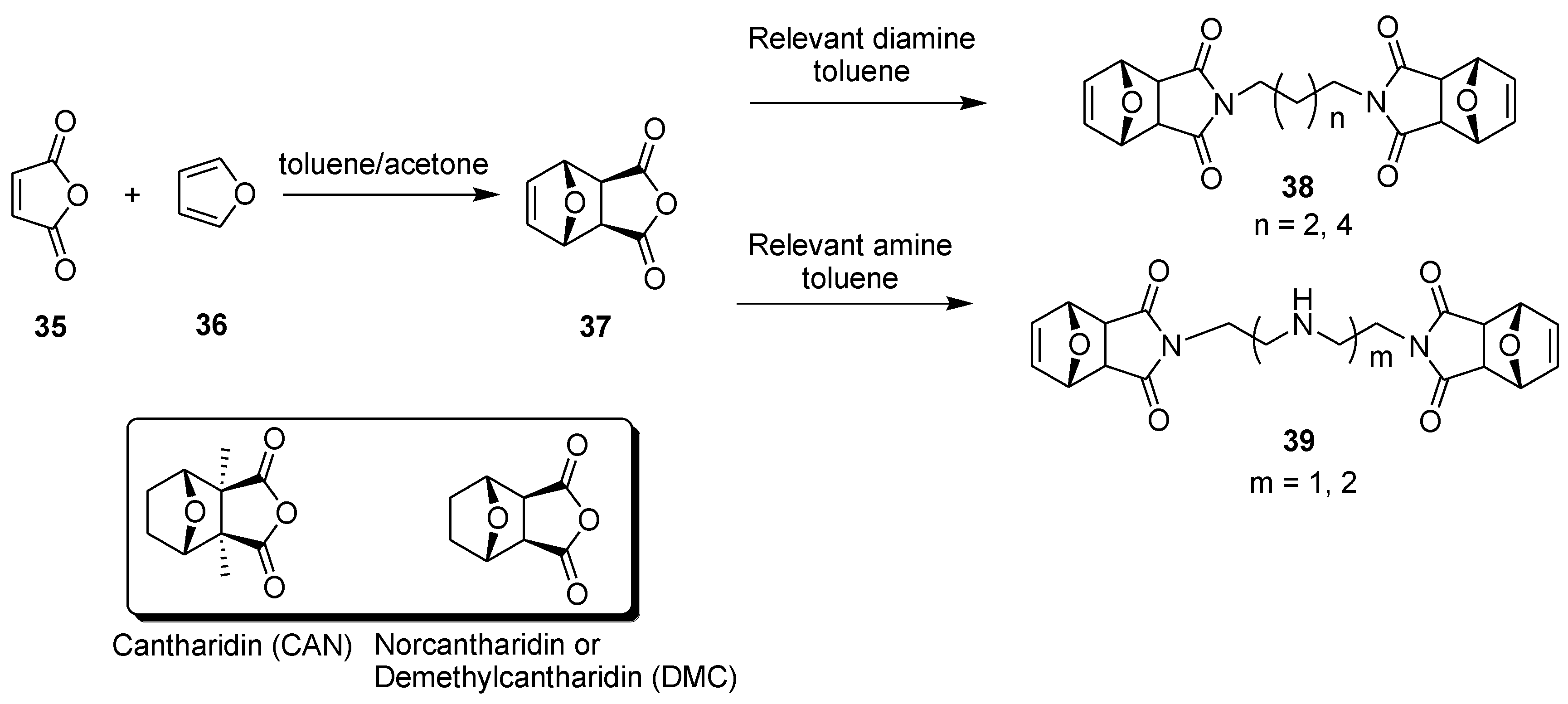 Molecules 26 02340 g009 Molecules 26 02340 g009