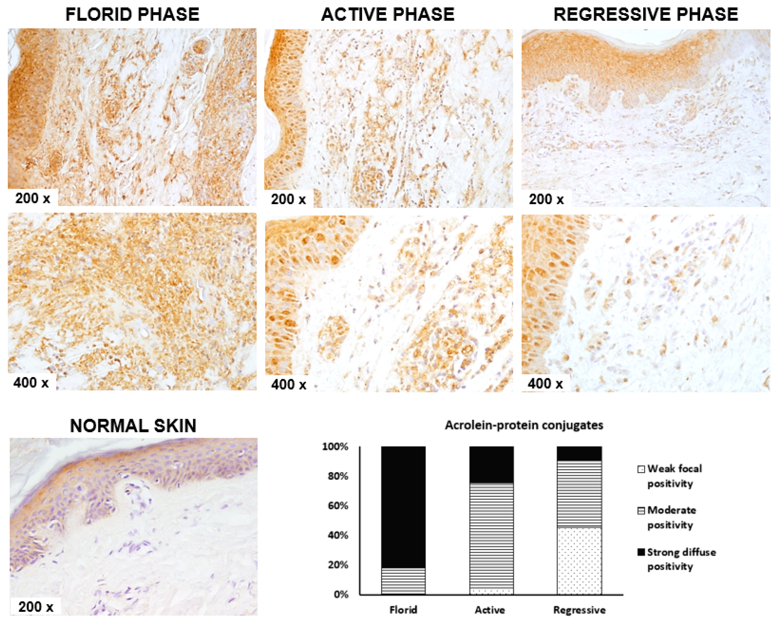 Molecules 26 02344 g001
