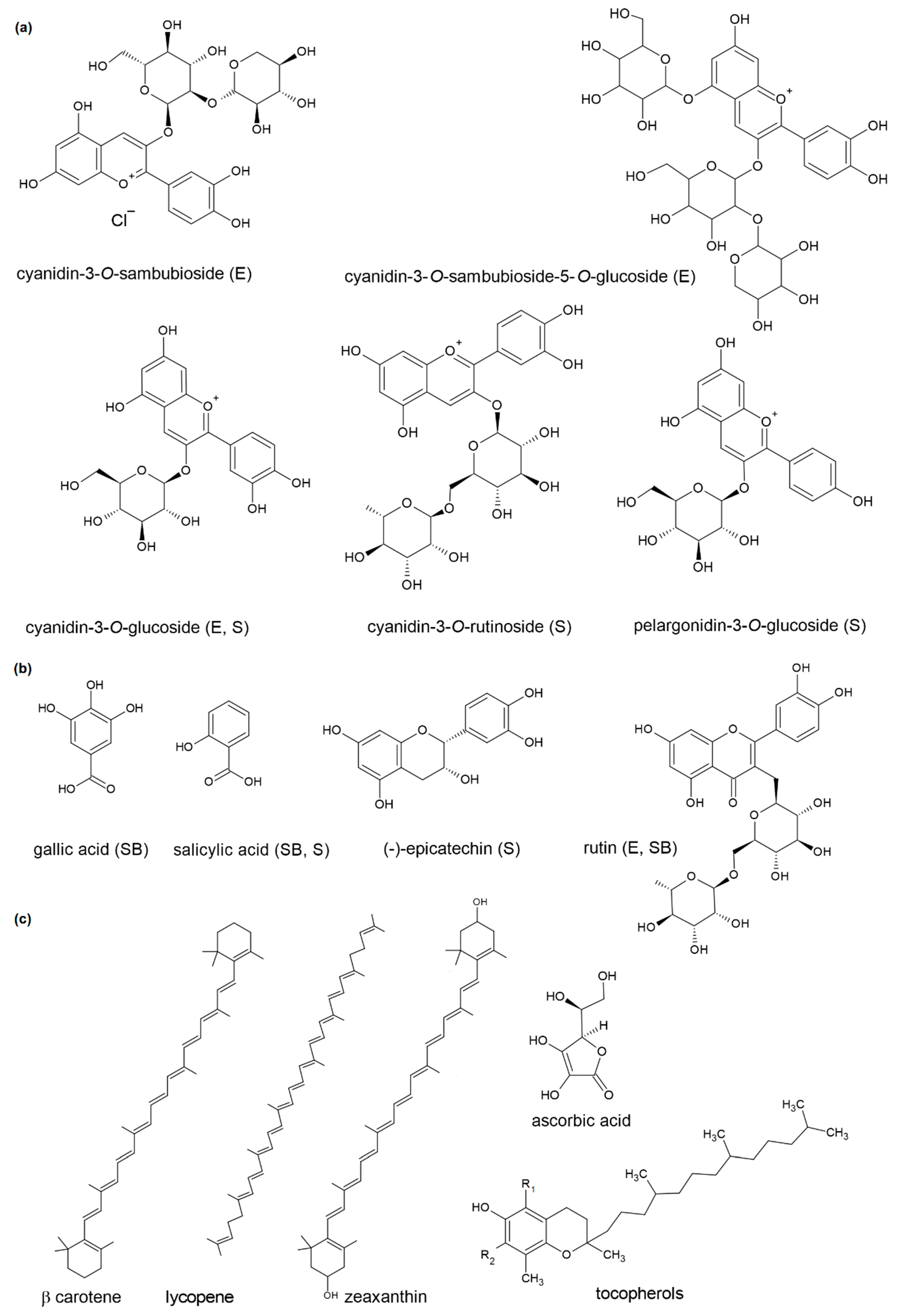 Molecules 26 02345 g001 Molecules 26 02345 g001