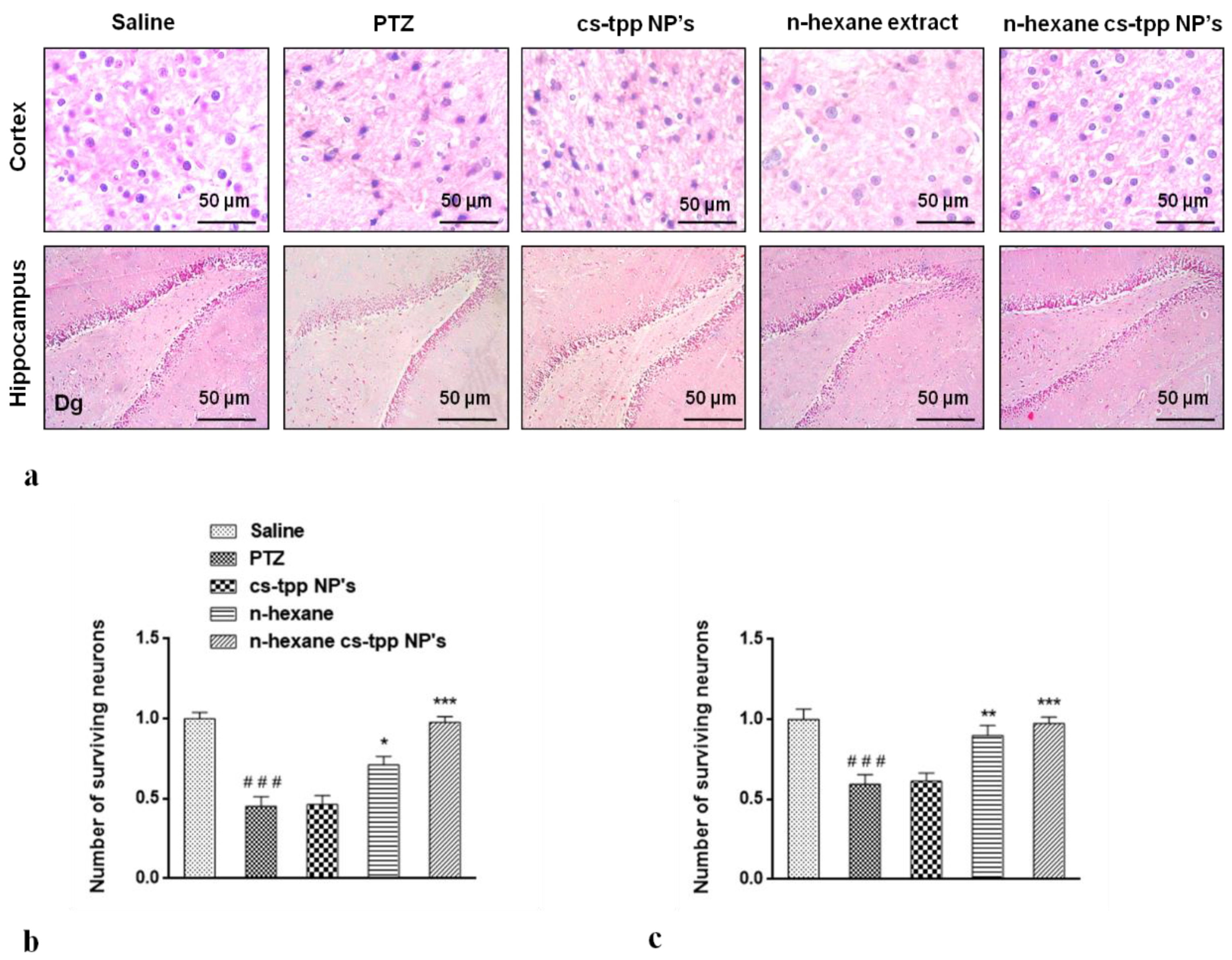 Molecules 26 02347 g009