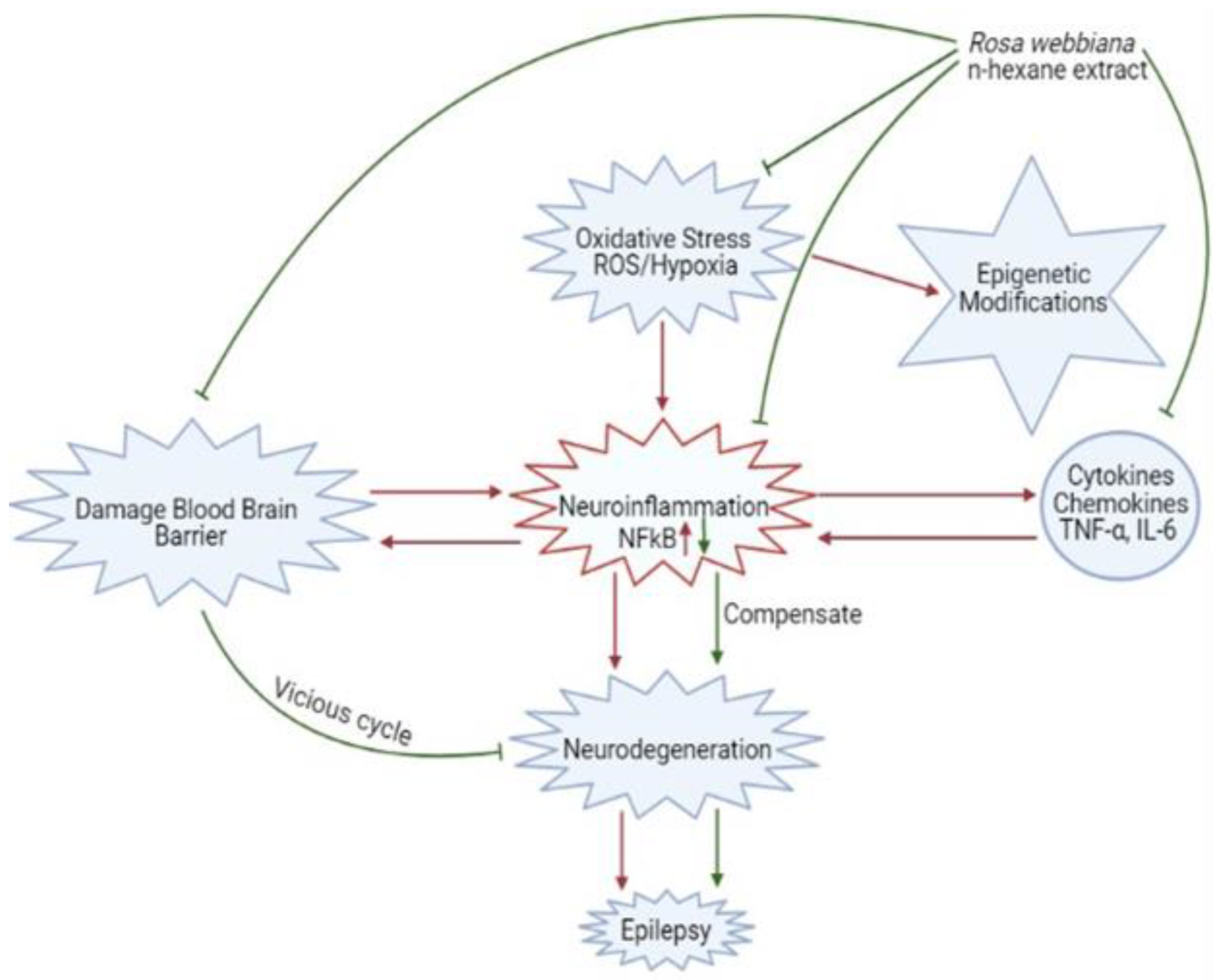 Molecules 26 02347 g010