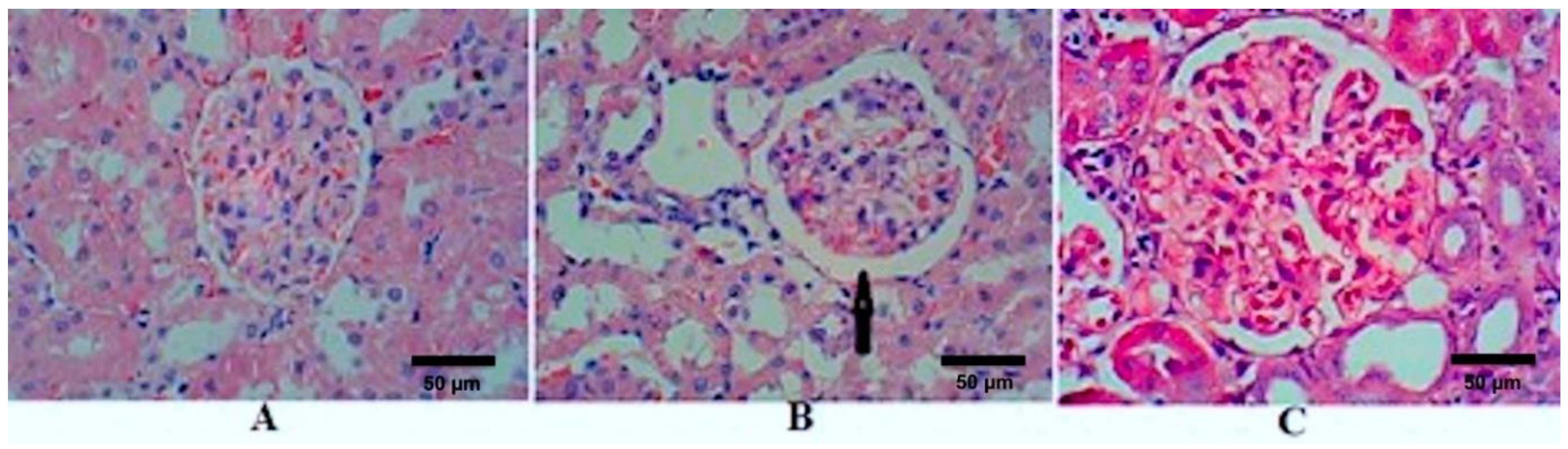 Molecules 26 02348 g001