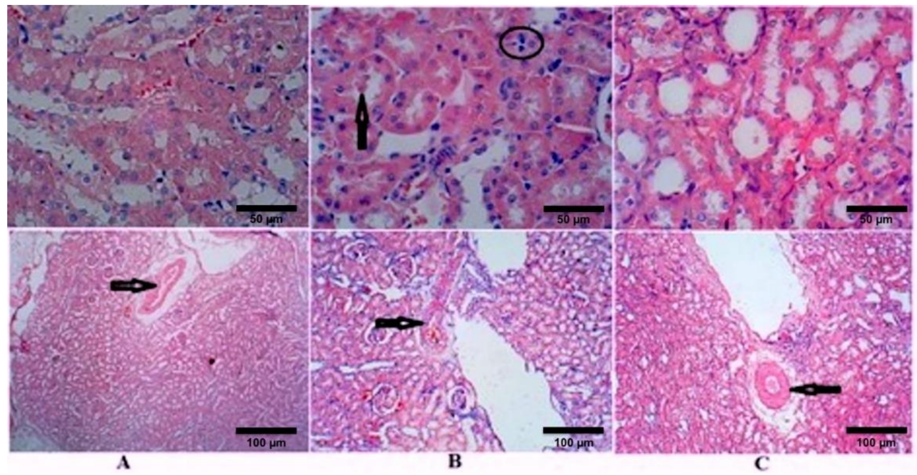 Molecules 26 02348 g002