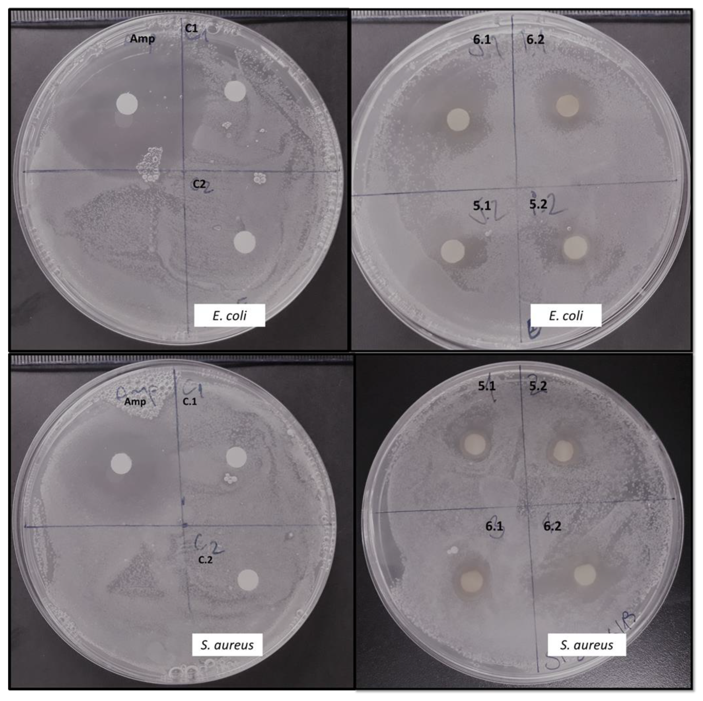 Molecules 26 02355 g003 Molecules 26 02355 g003