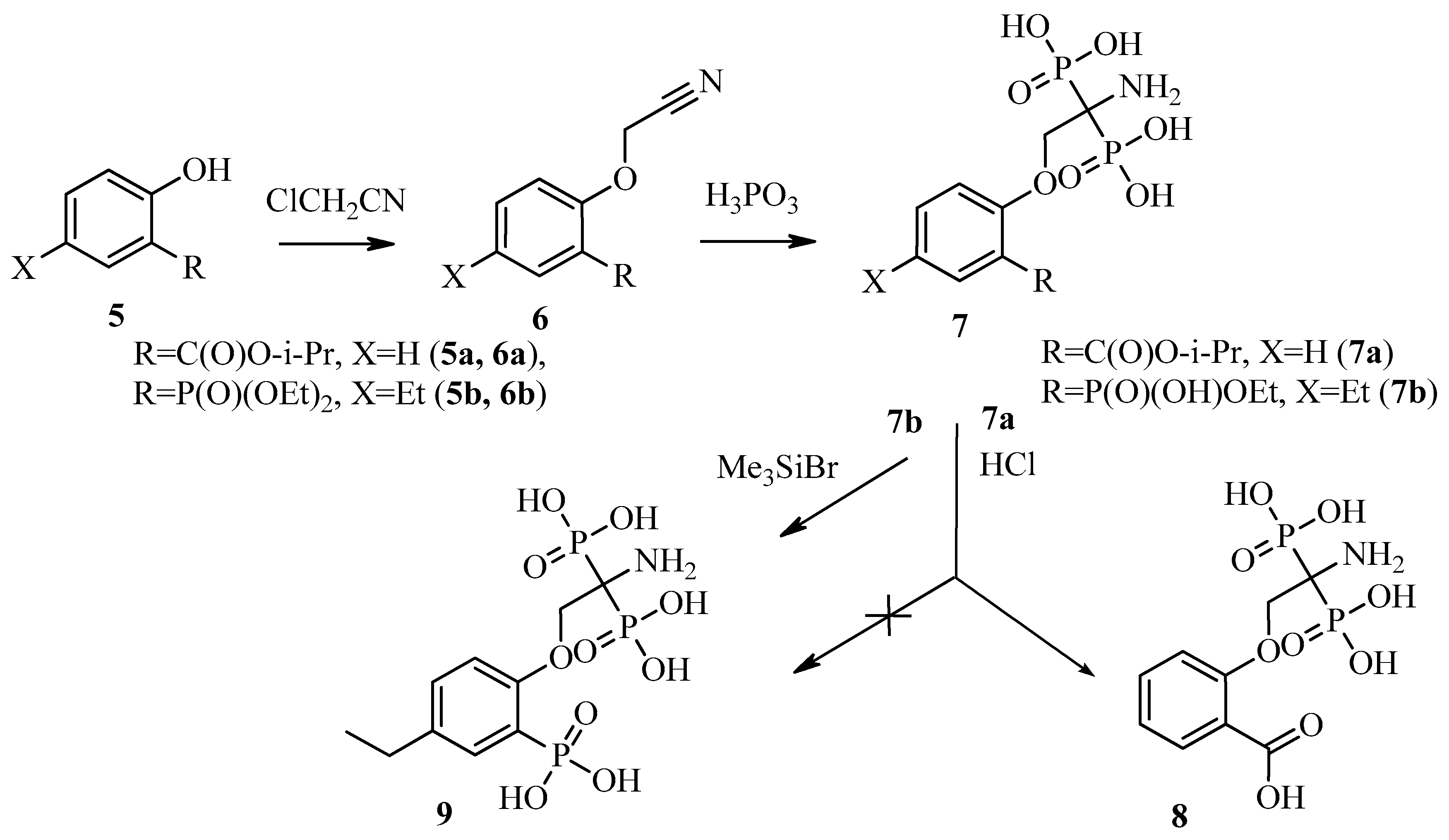 Molecules 26 02357 g002