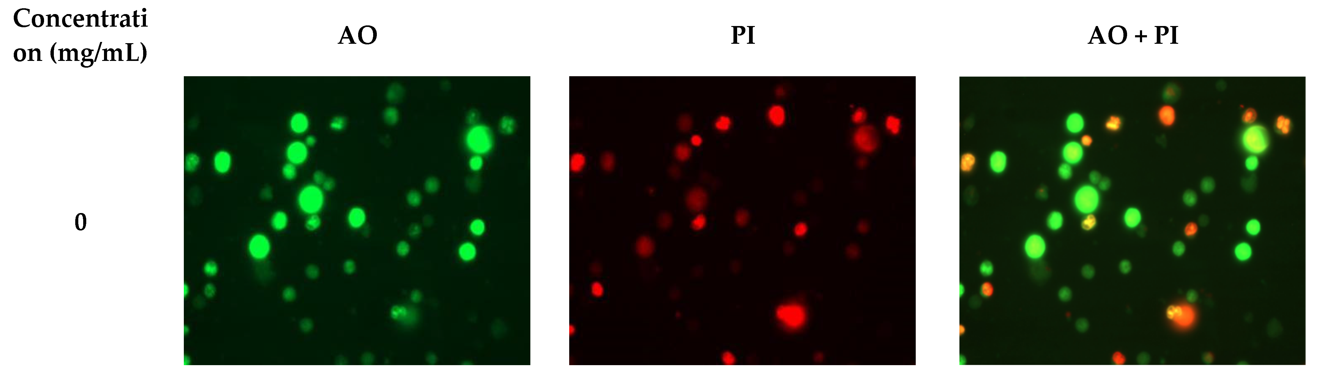 Molecules 26 02359 g005a Molecules 26 02359 g005a