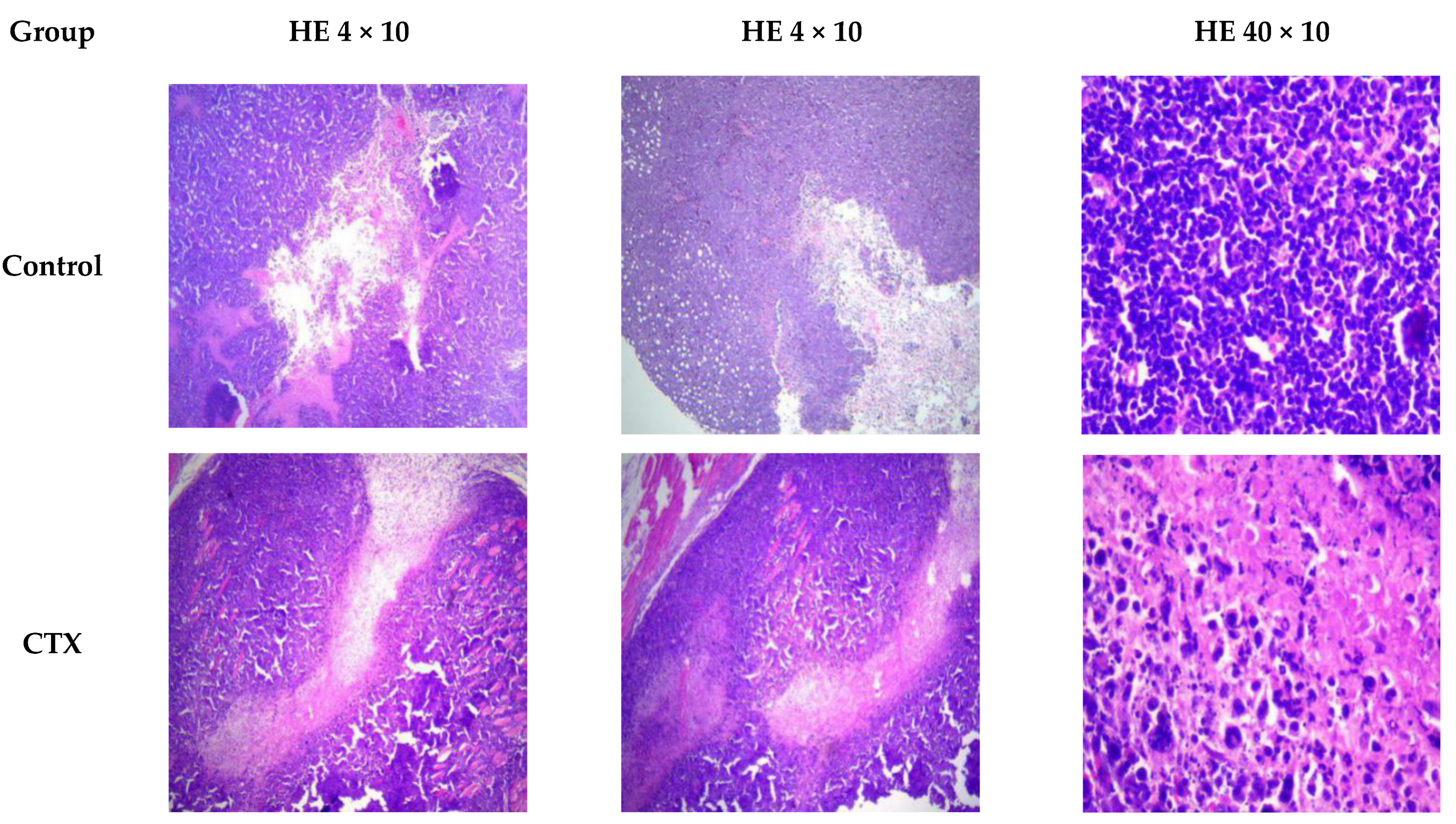 Molecules 26 02359 g006a Molecules 26 02359 g006a