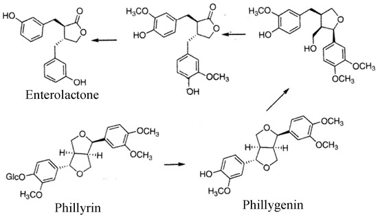 Molecules Free Full Text The Biological Effects Of Forsythia Leaves Containing The Cyclic Amp Phosphodiesterase 4 Inhibitor Phillyrin Html Molecules Free Full Text The Biological Effects Of Forsythia Leaves Containing The Cyclic Amp Phosphodiesterase 4 Inhibitor Phillyrin Html