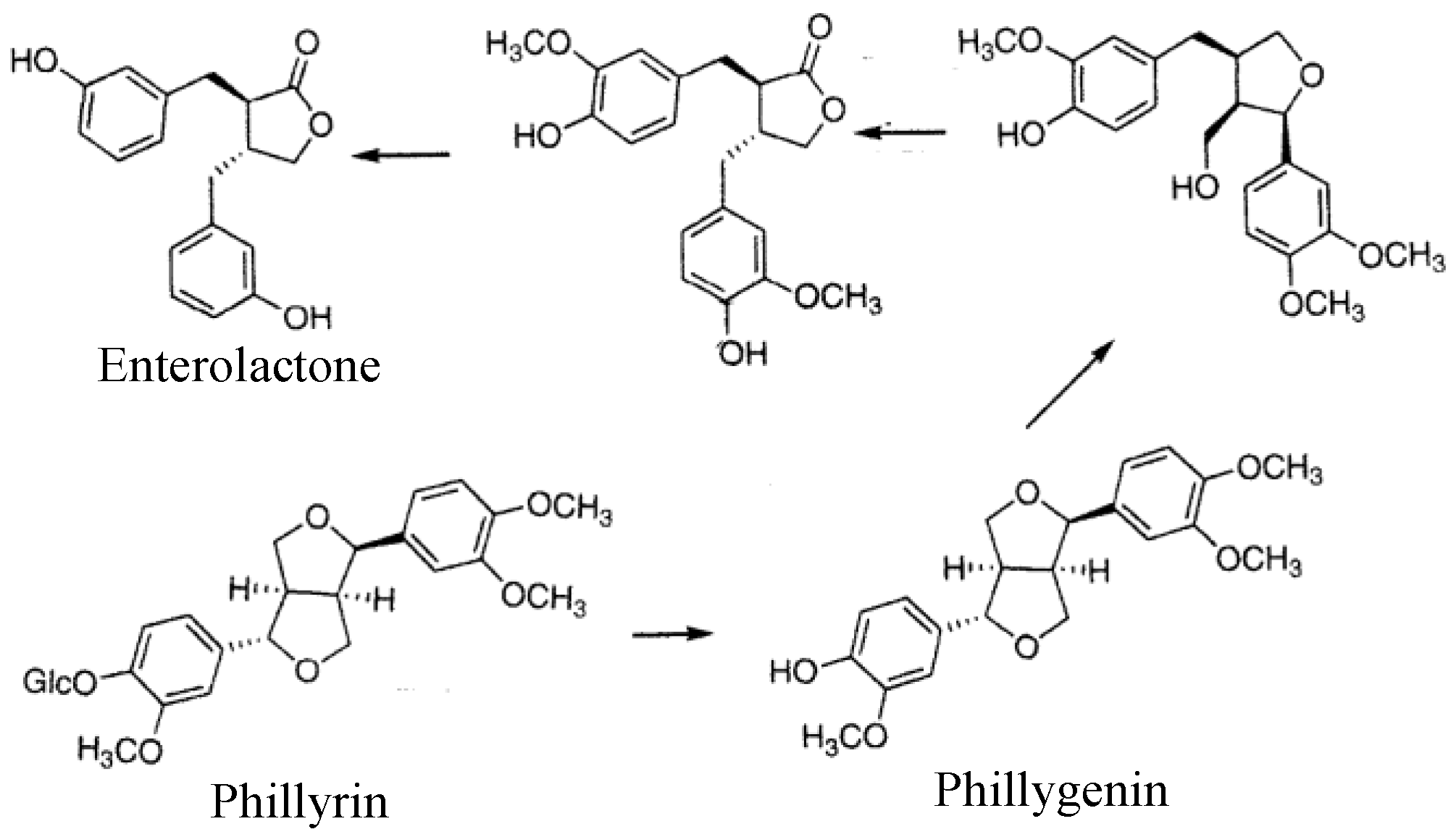 Molecules 26 02362 g012 Molecules 26 02362 g012