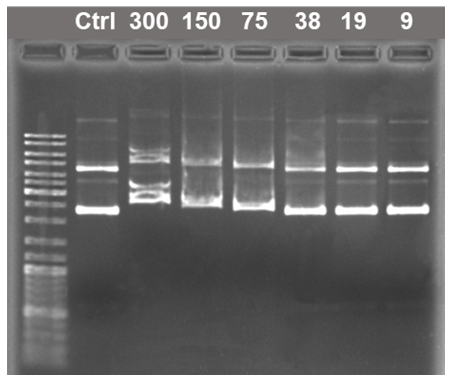Molecules 26 02363 g008