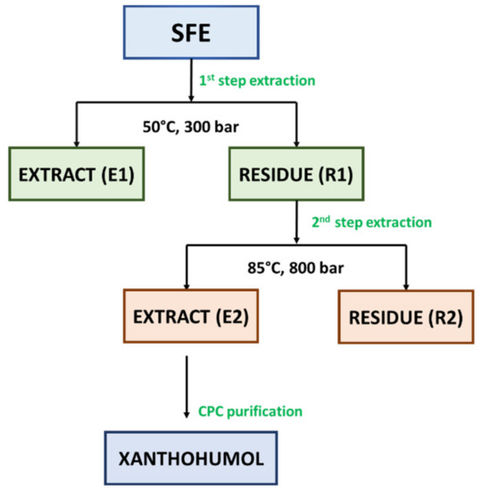 Fibrotikus prostatitis ez, és hogyan kezeljük