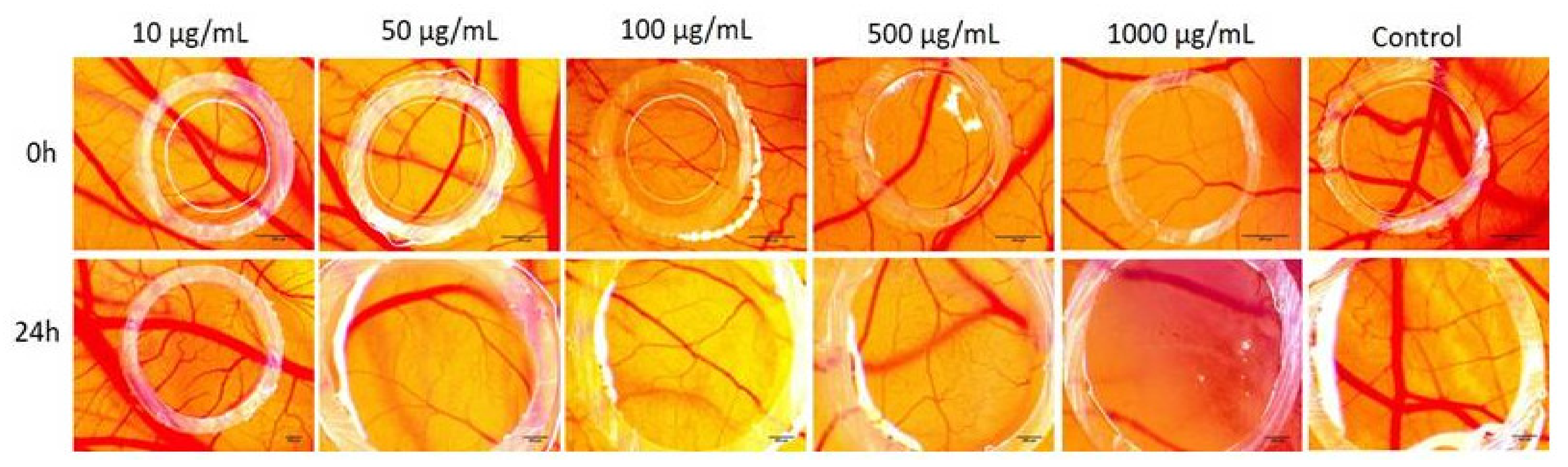 Molecules 26 02369 g004