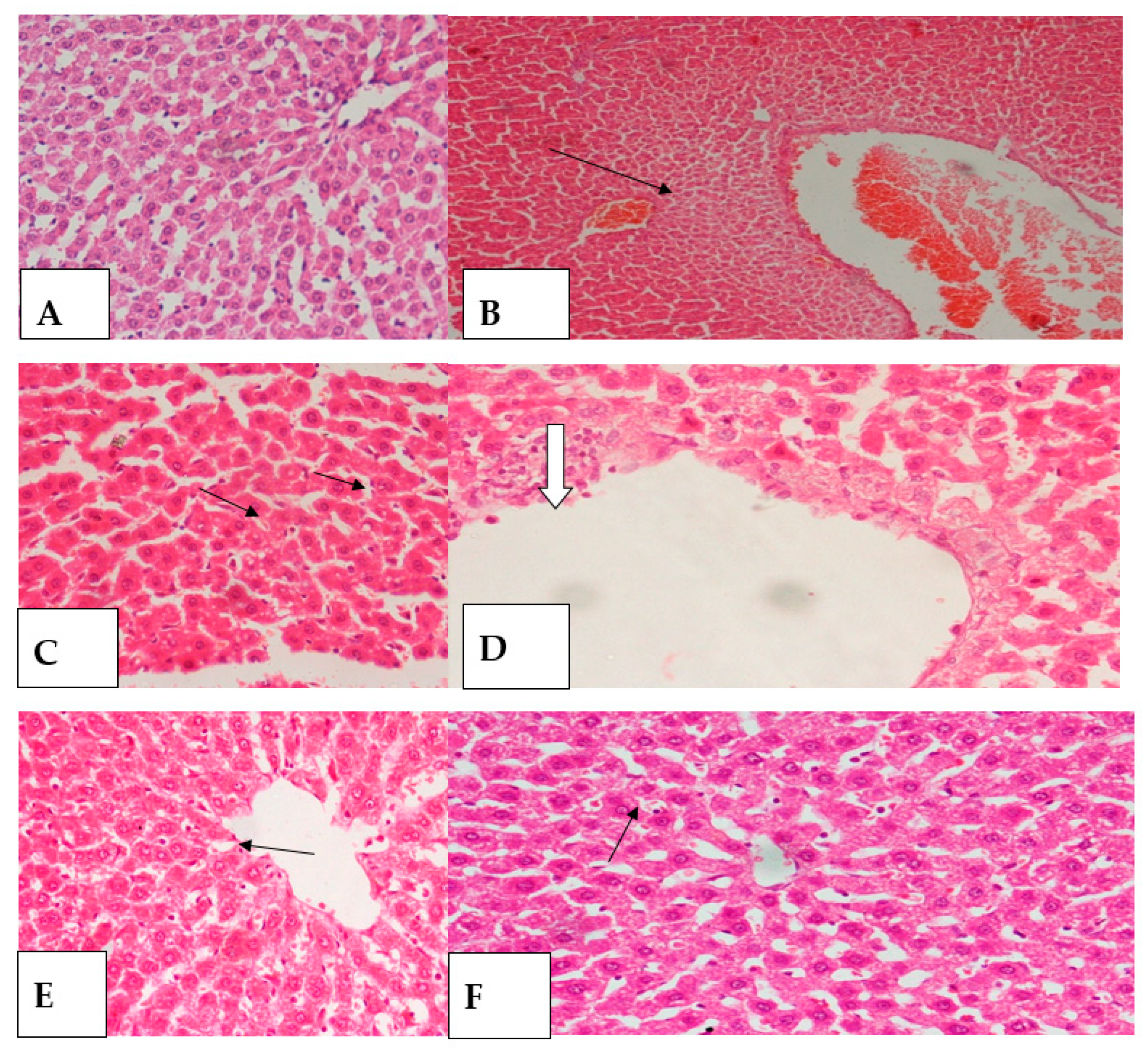 Molecules 26 02370 g004 Molecules 26 02370 g004