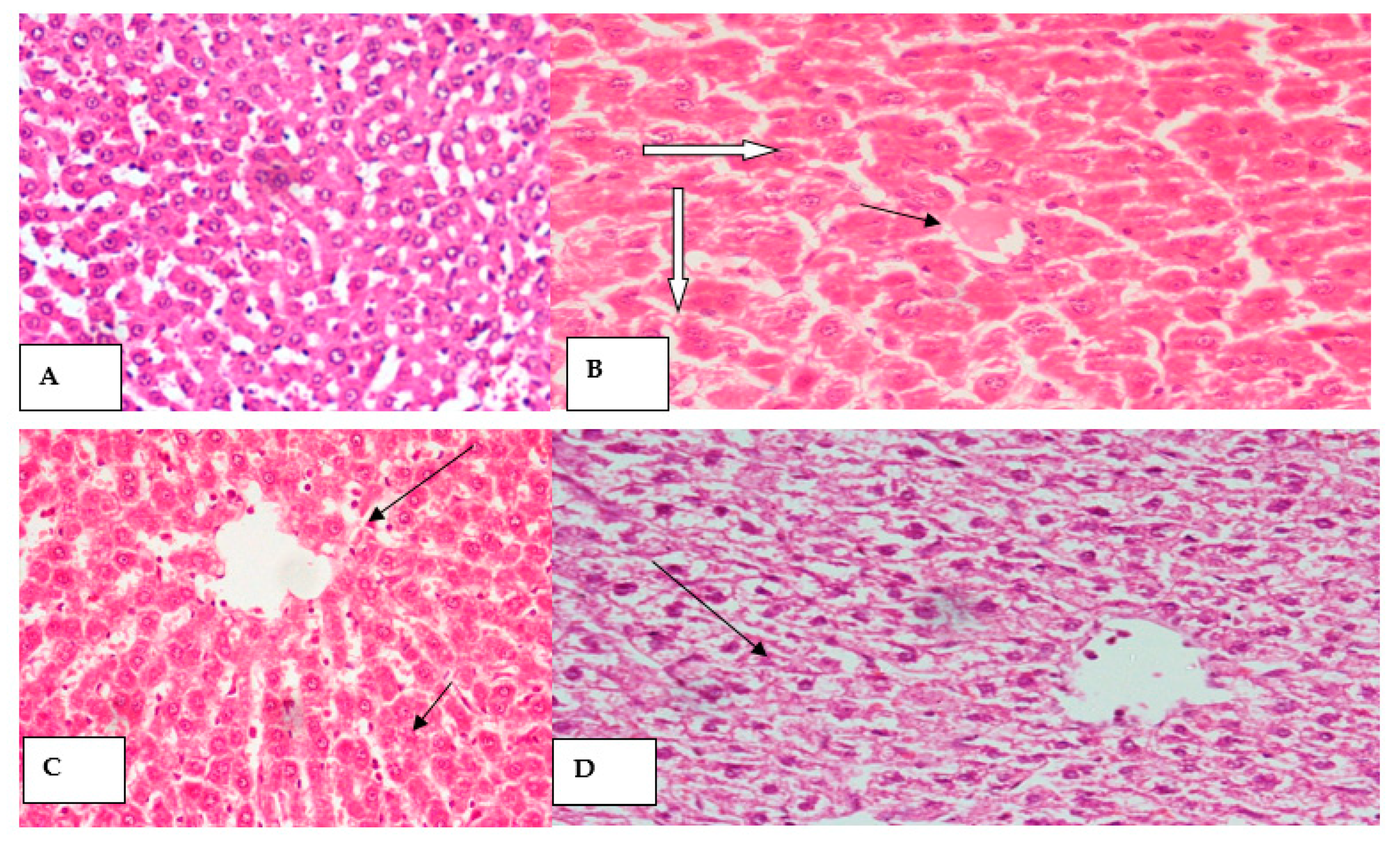 Molecules 26 02370 g005 Molecules 26 02370 g005