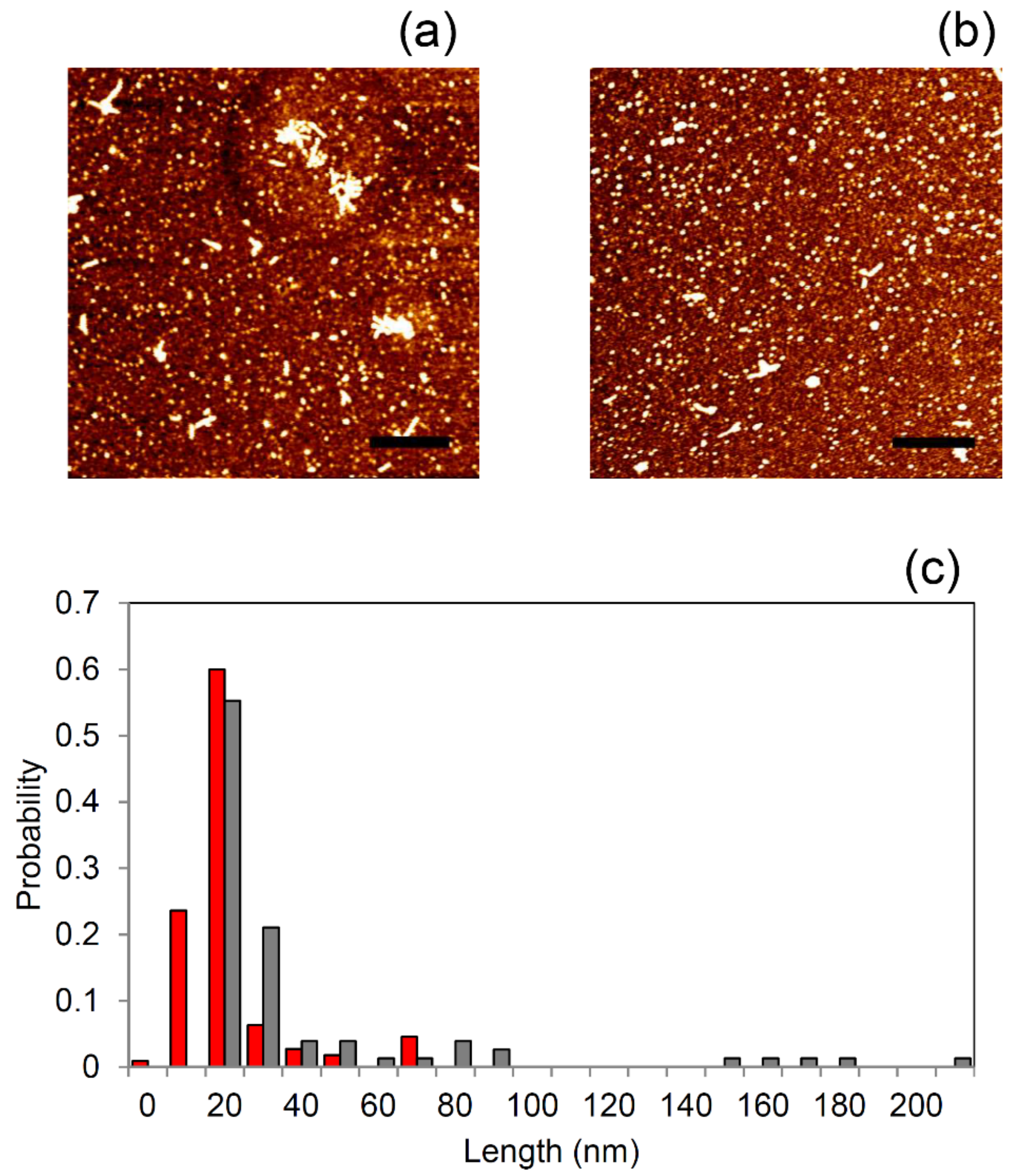 Molecules 26 02371 g006
