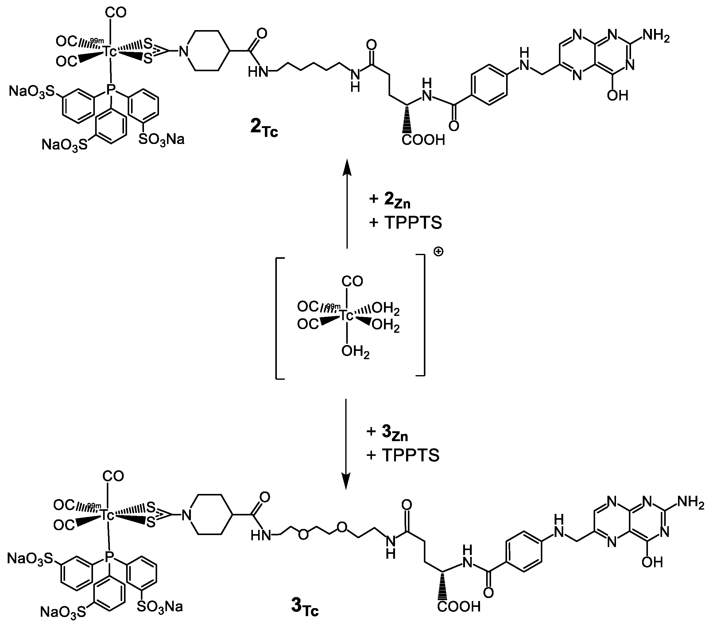 Molecules 26 02373 sch004 Molecules 26 02373 sch004