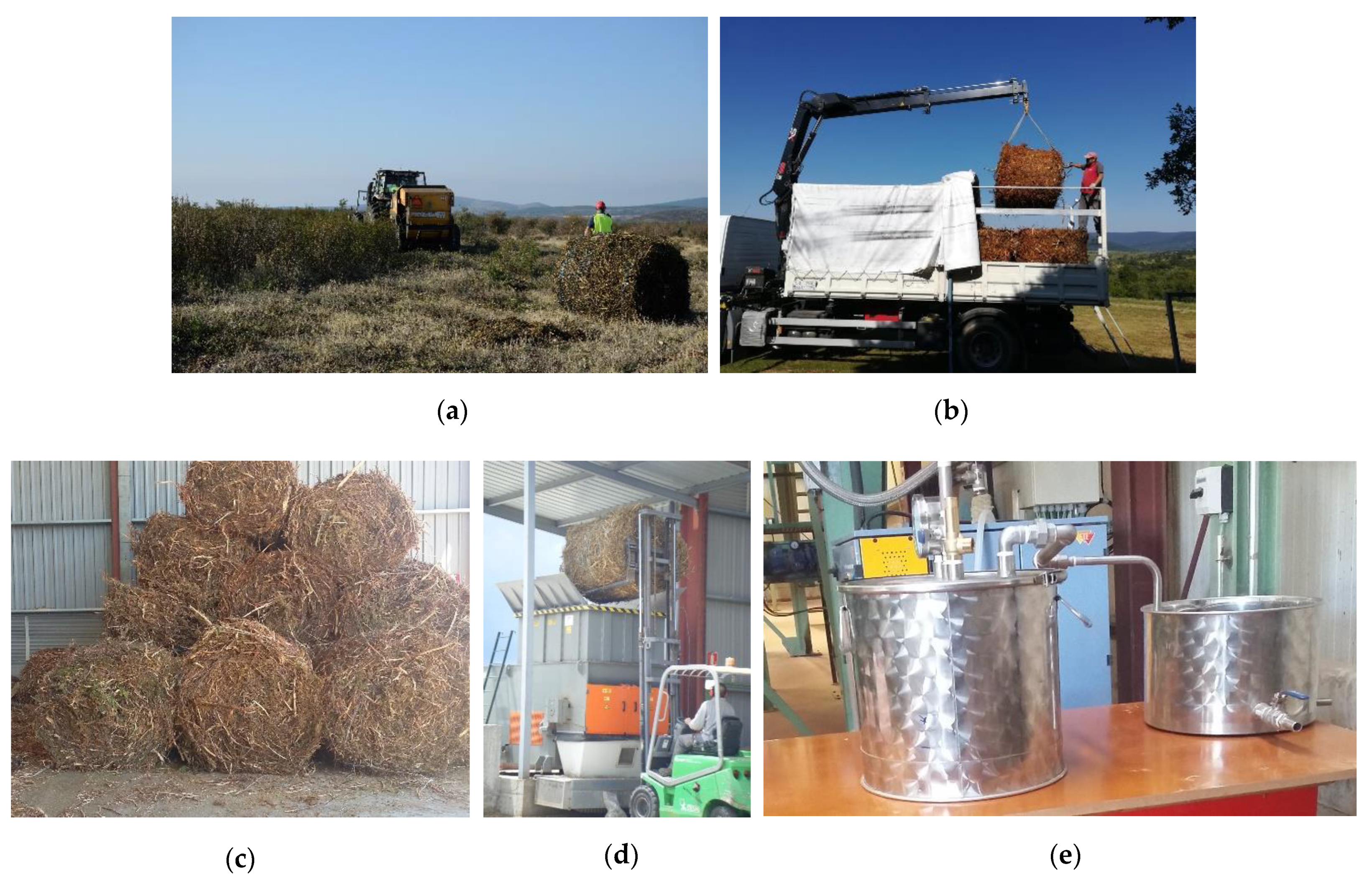 Molecules 26 02379 g002