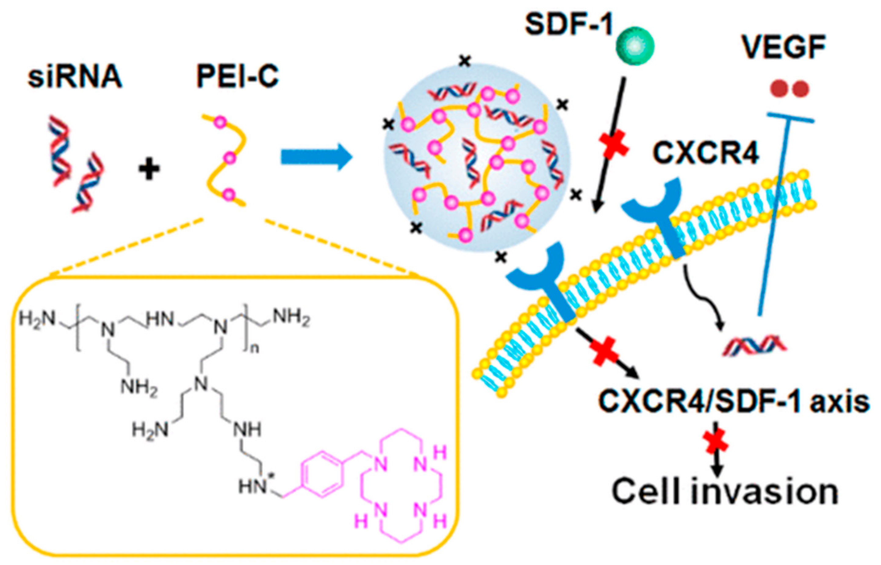 Molecules 26 02380 g005
