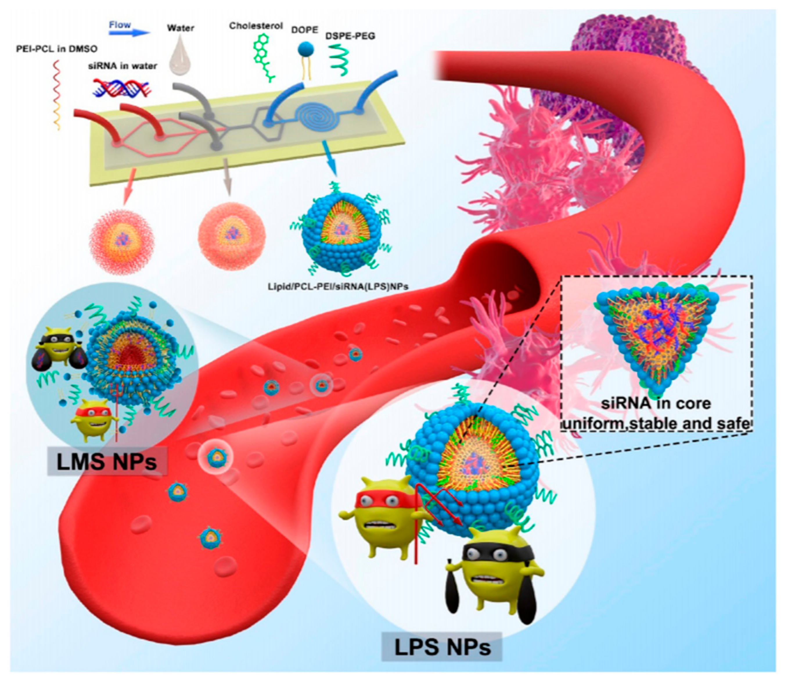 Molecules 26 02380 g006