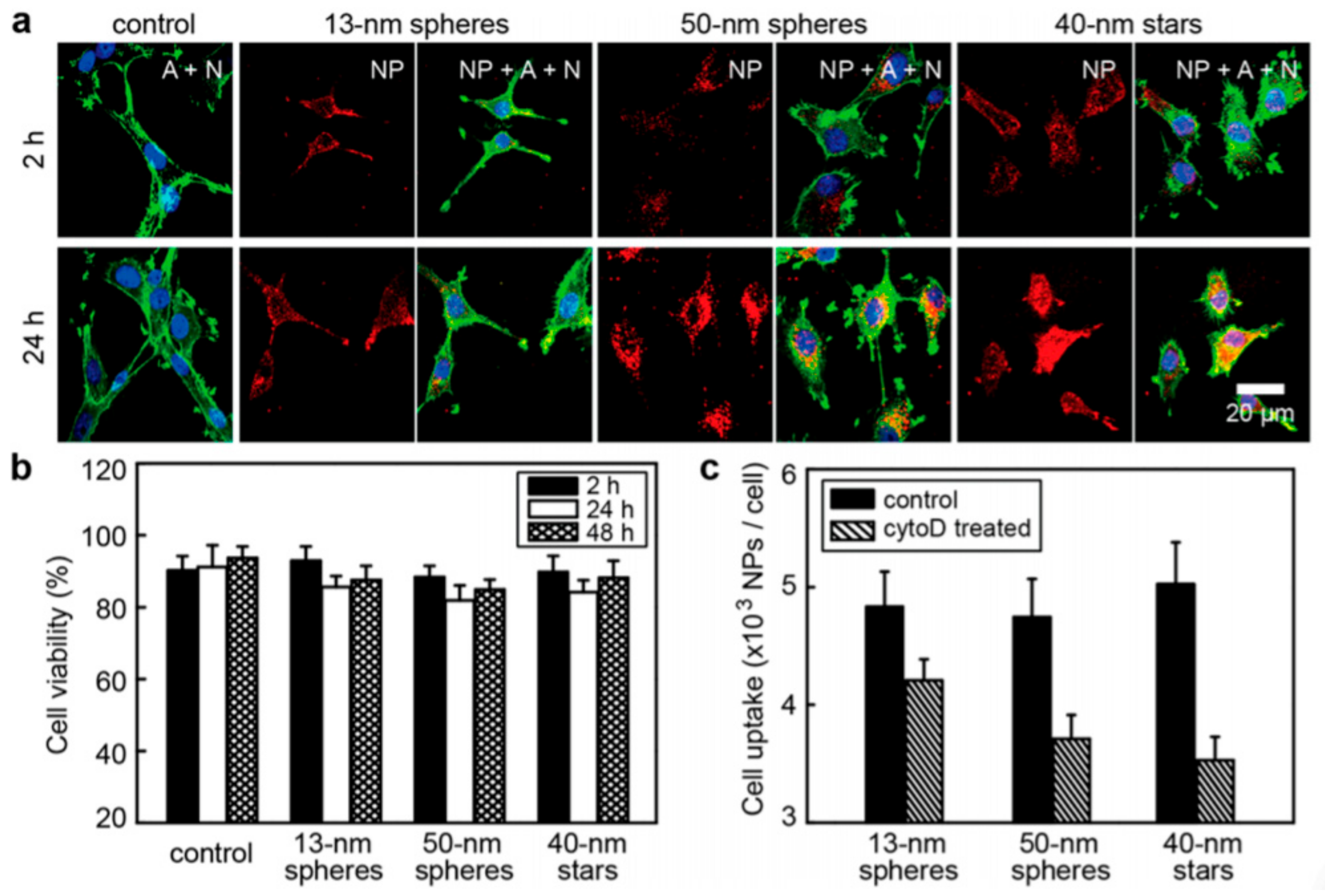 Molecules 26 02380 g008