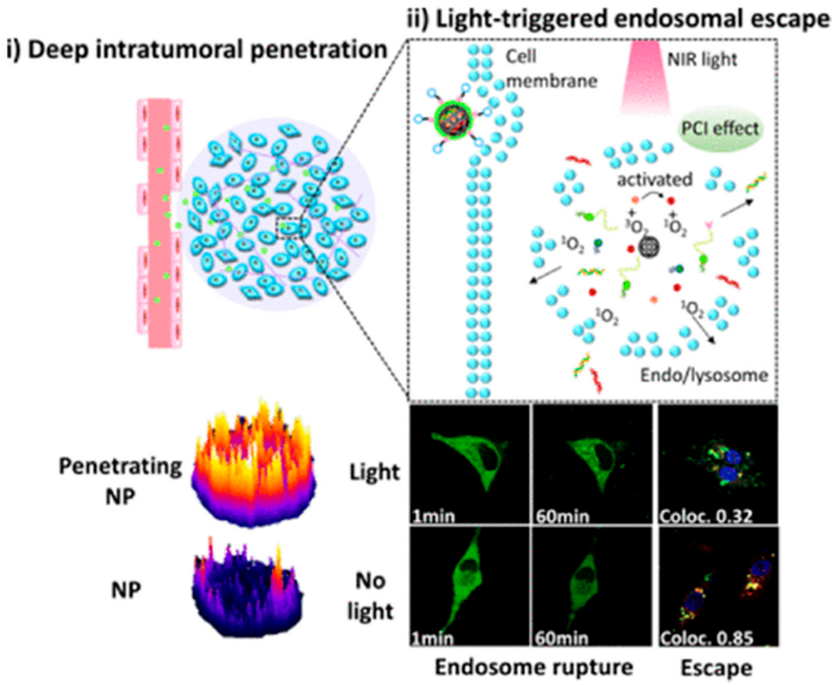 Molecules 26 02380 g009
