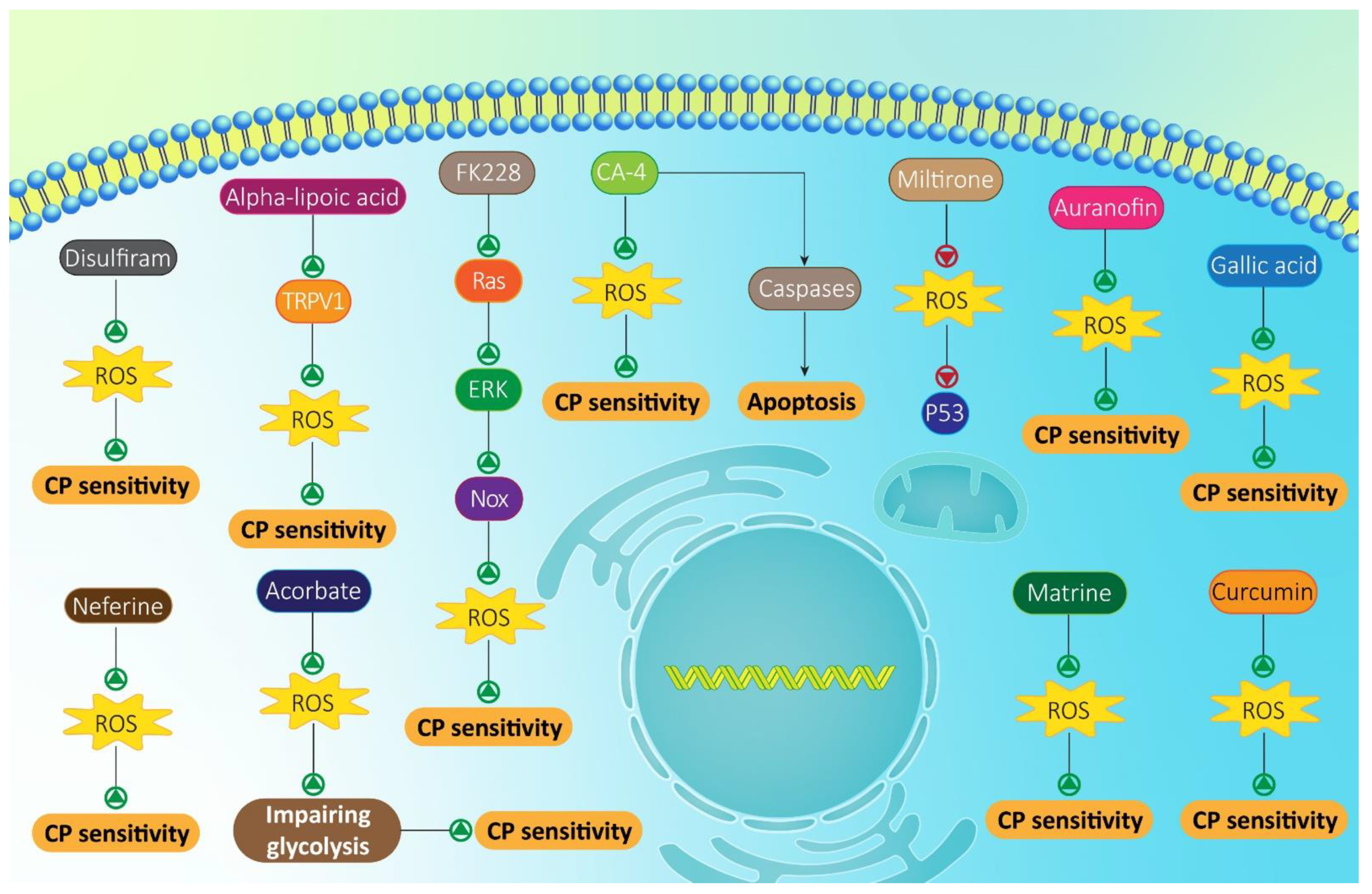 Molecules 26 02382 g003
