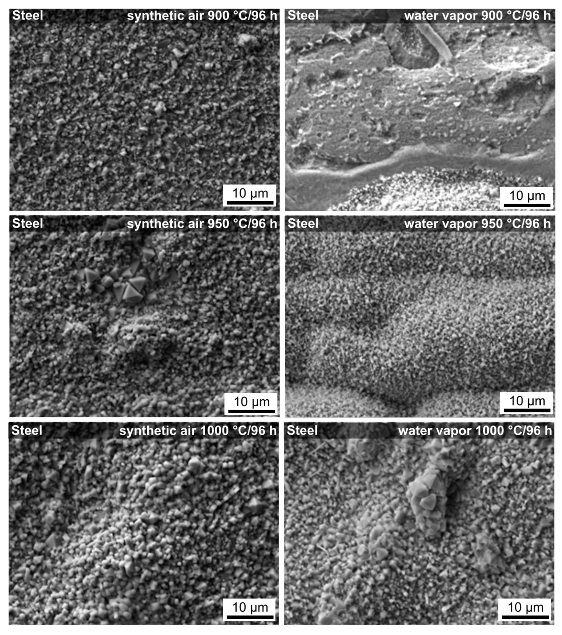Molecules 26 02388 g006