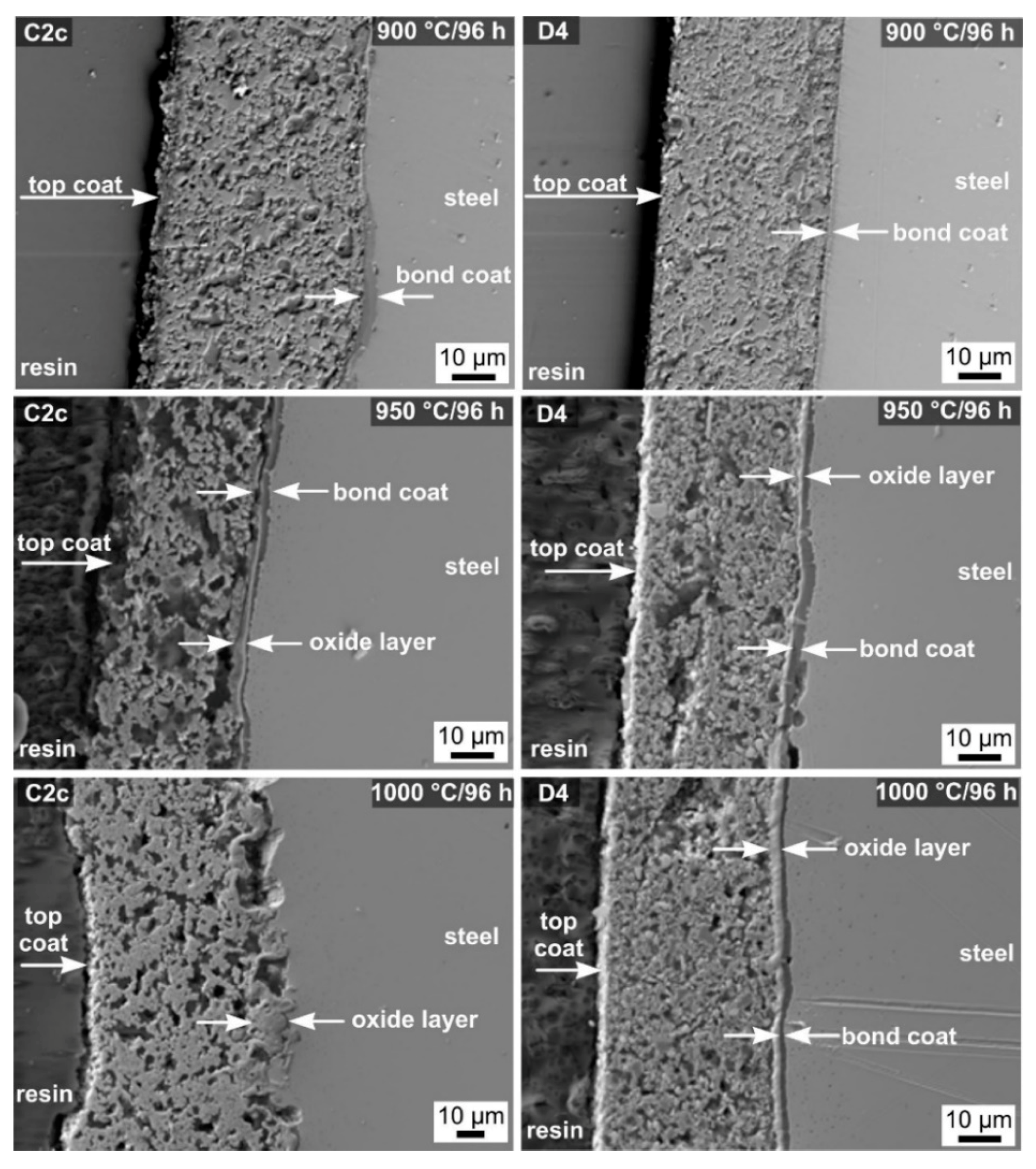 Molecules 26 02388 g008
