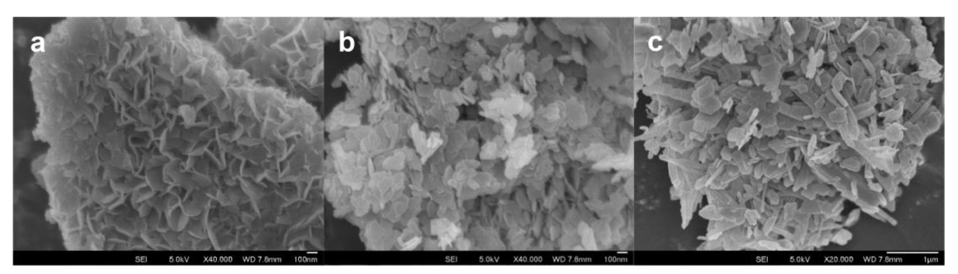 Molecules 26 02392 g003