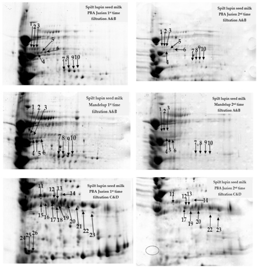 Molecules Free FullText Study on the Correlation between the