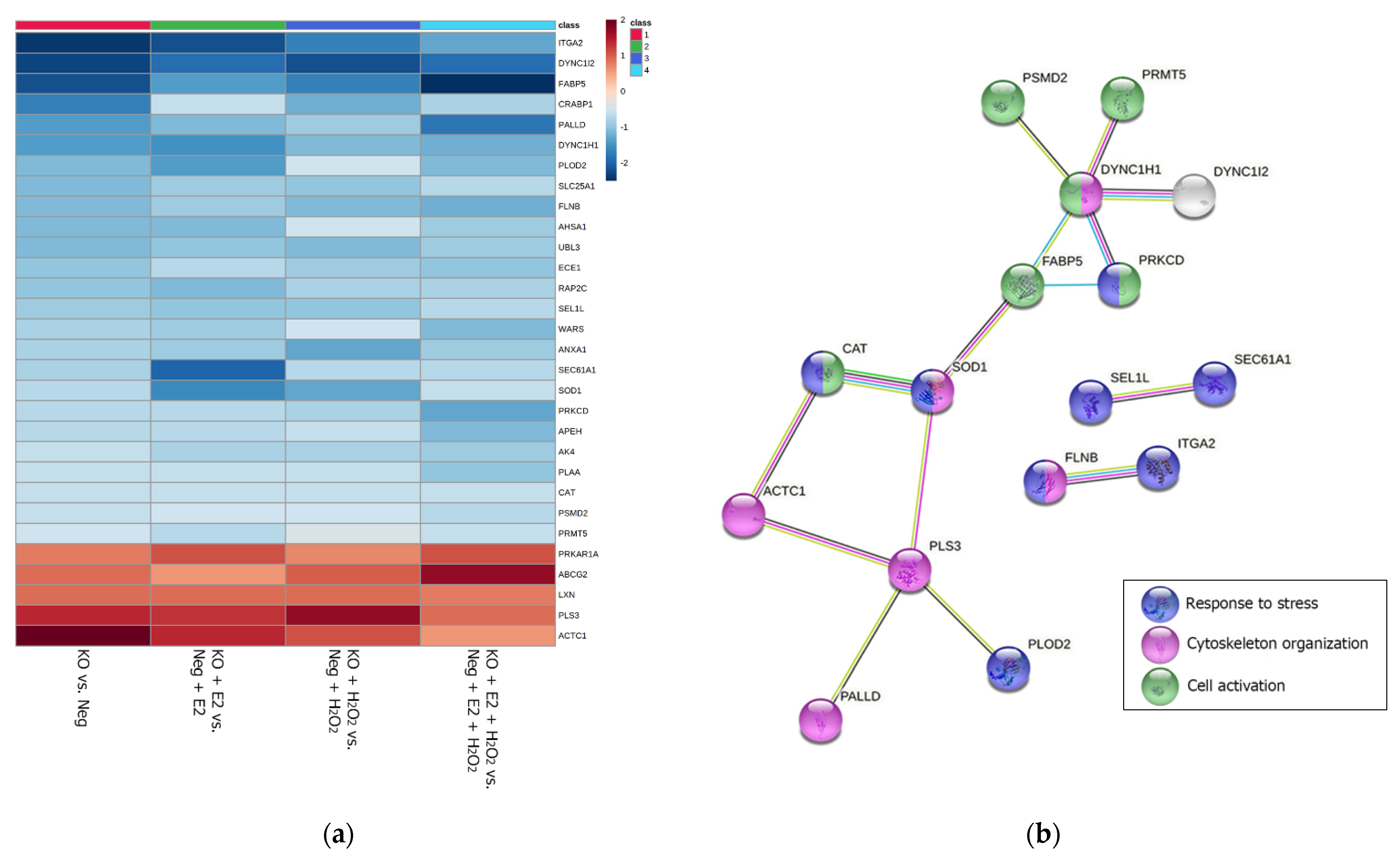 Molecules 26 02397 g004a