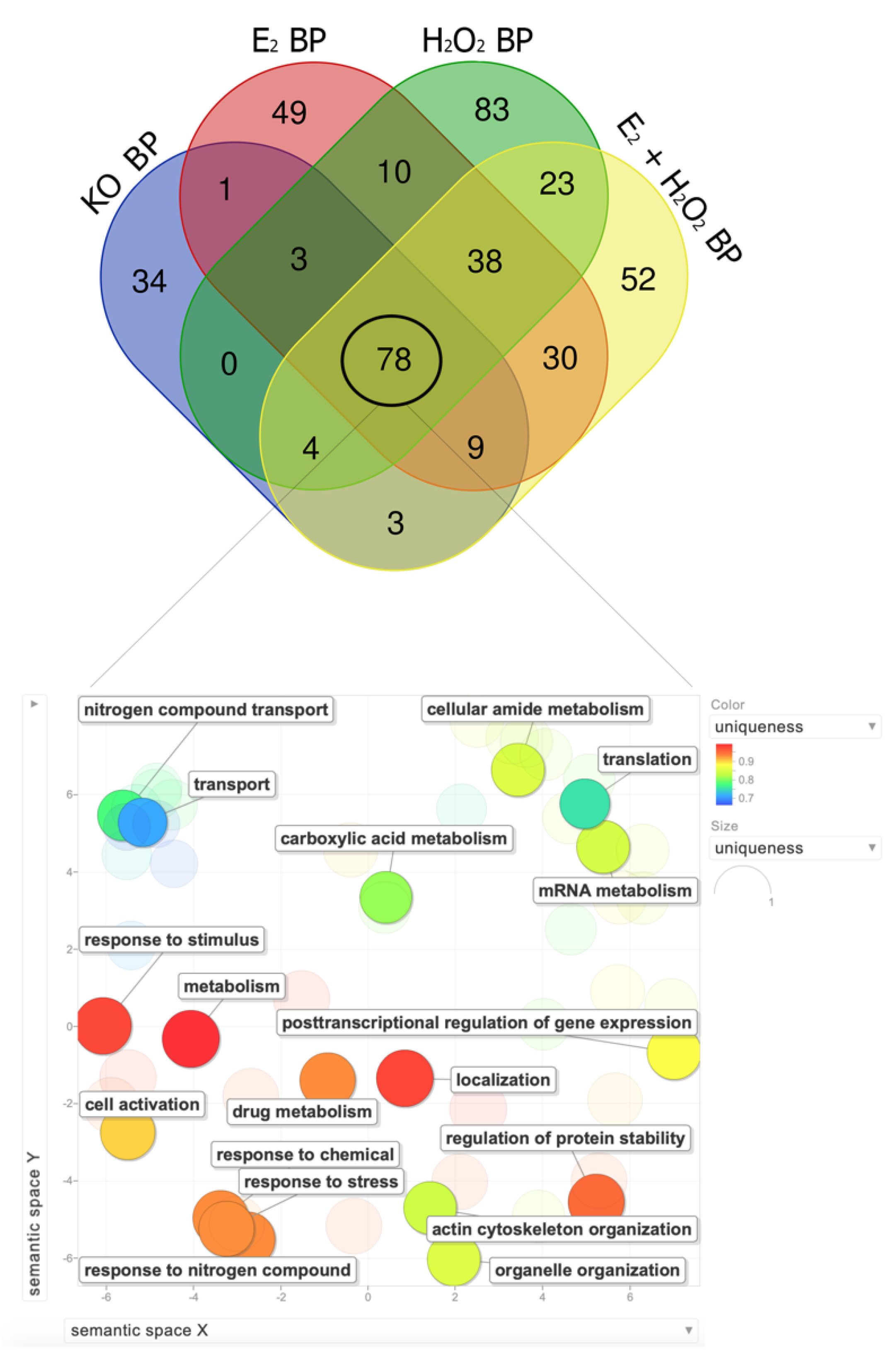 Molecules 26 02397 g005