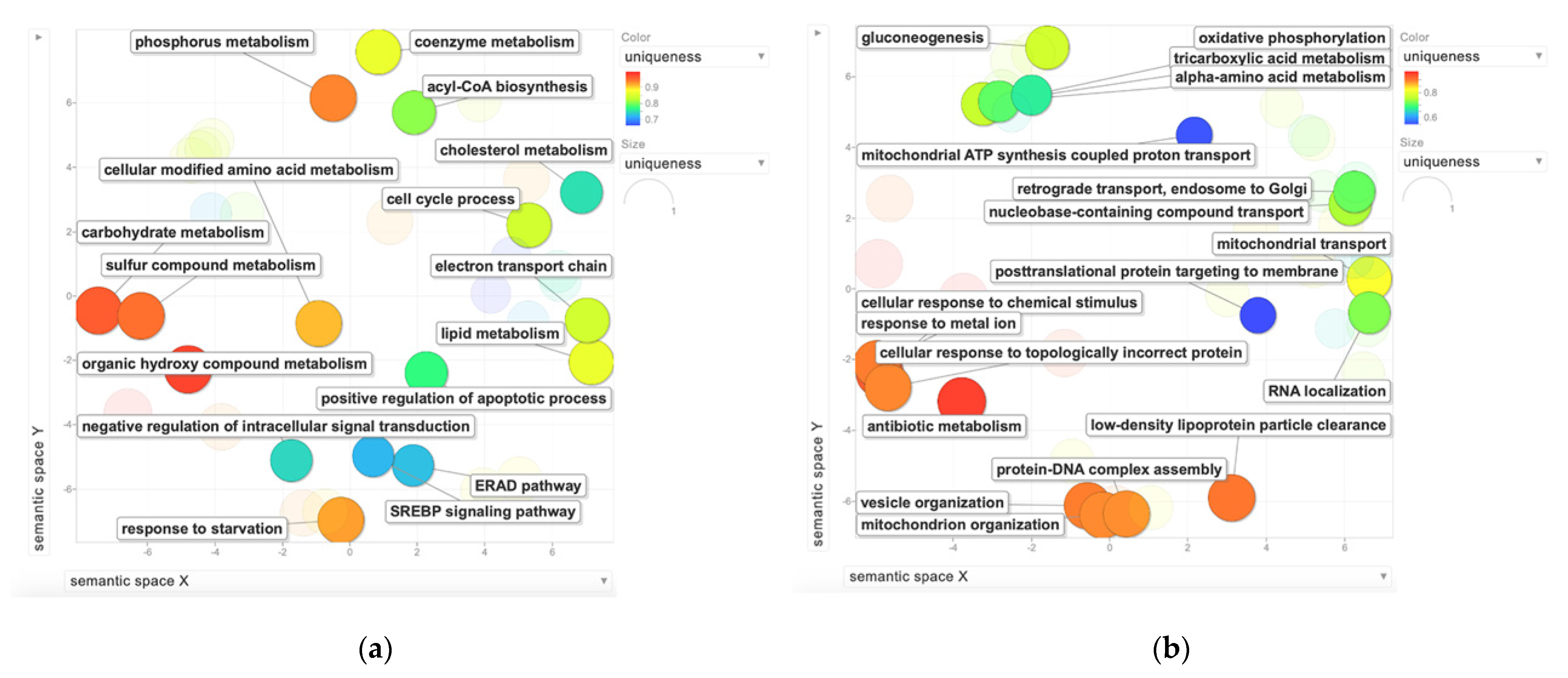 Molecules 26 02397 g006a