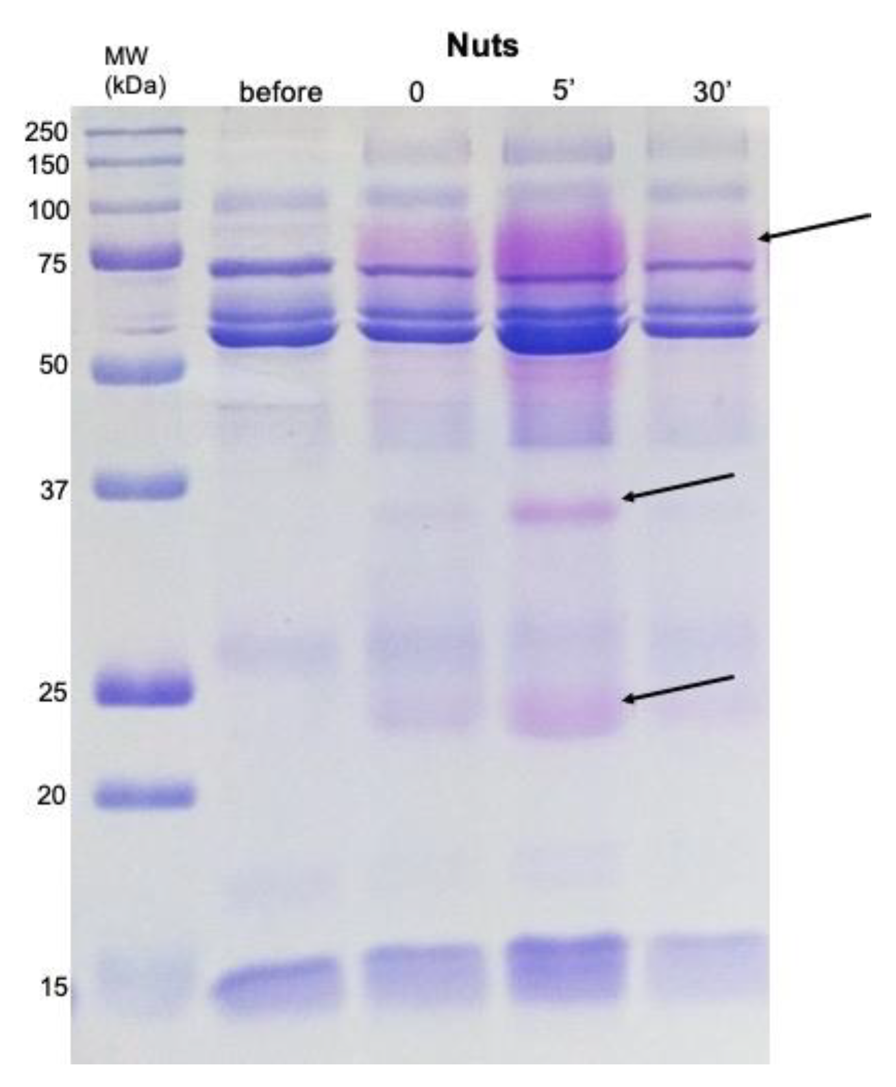 Molecules 26 02403 g005 Molecules 26 02403 g005