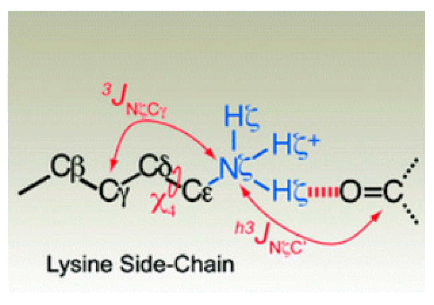 Molecules 26 02409 g016