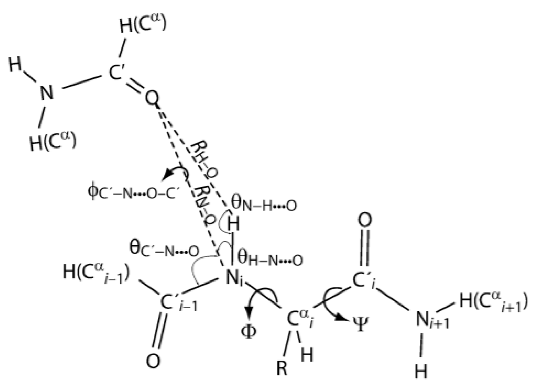 Molecules 26 02409 g021
