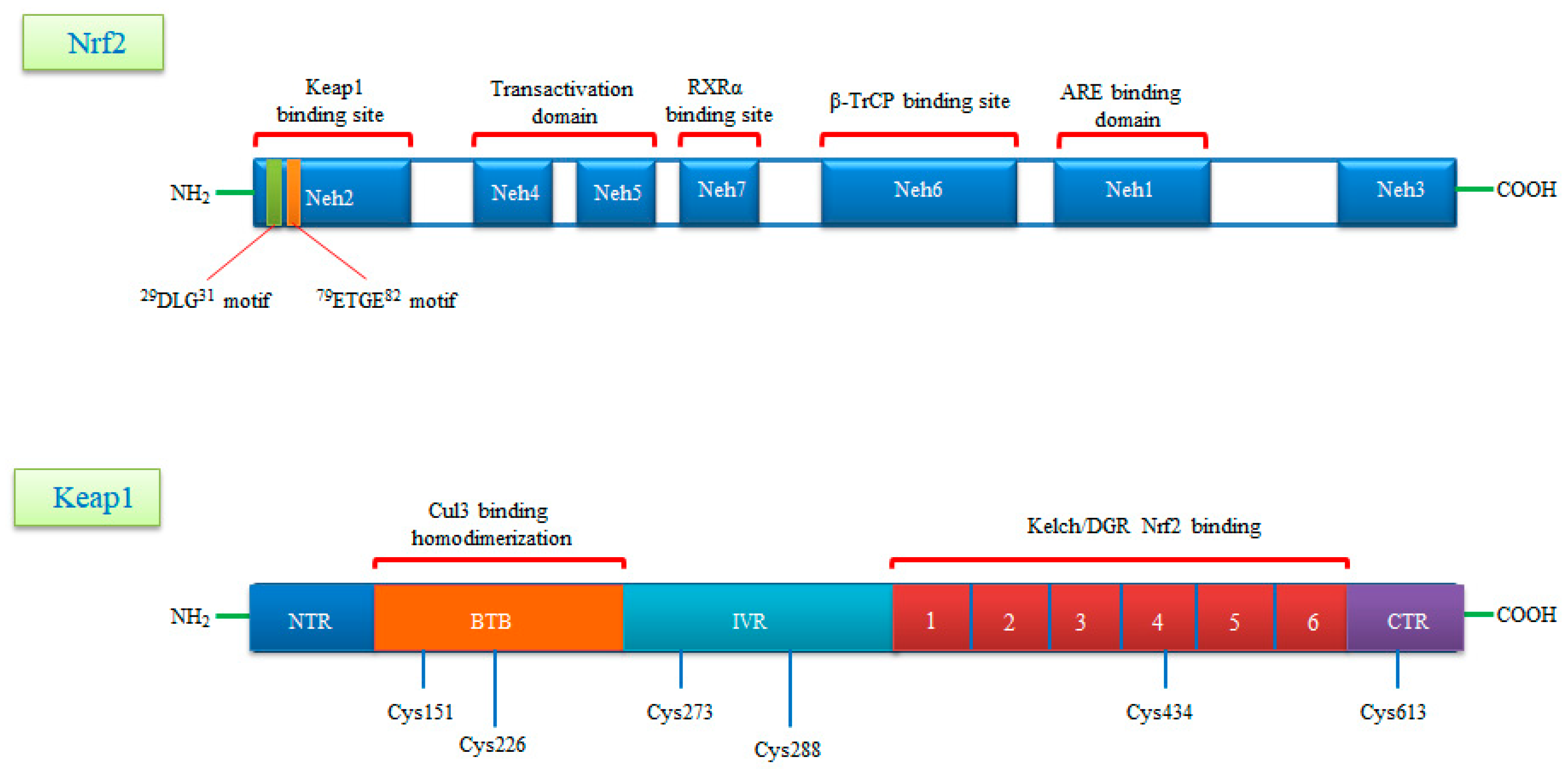 Molecules 26 02424 g001 Molecules 26 02424 g001