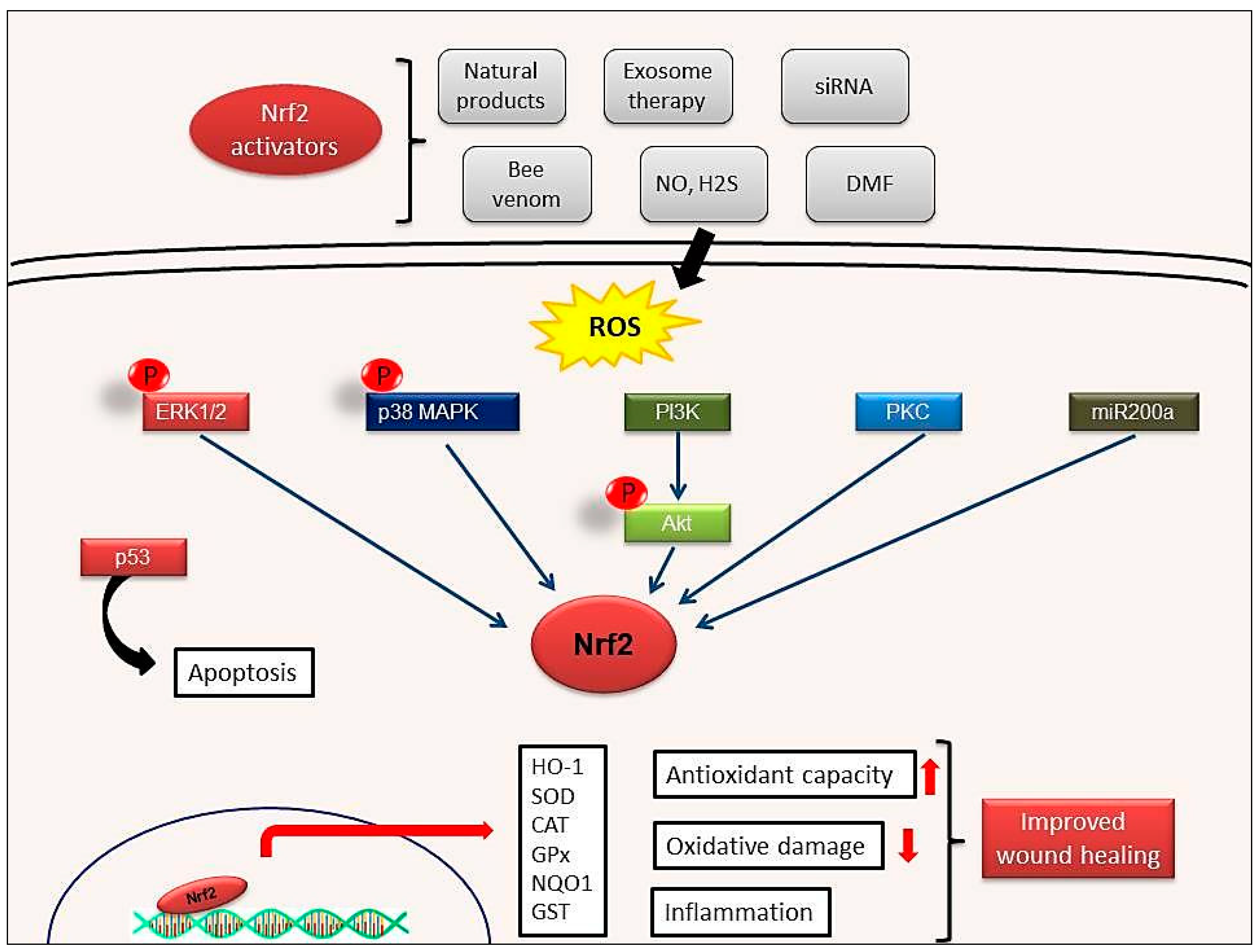 Molecules 26 02424 g004 Molecules 26 02424 g004