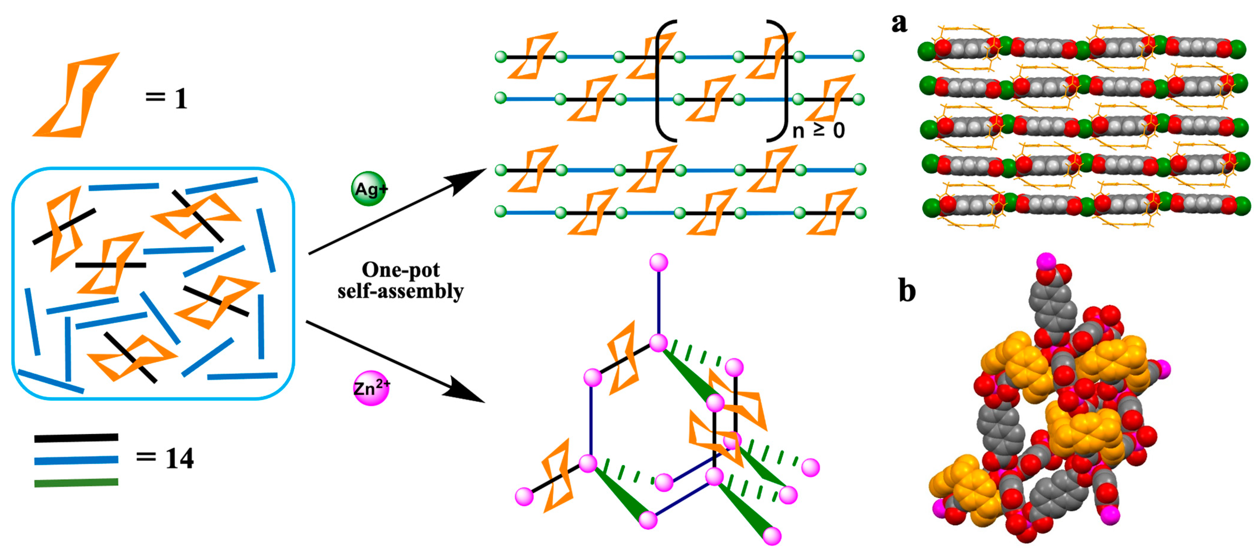Molecules 26 02426 g005 Molecules 26 02426 g005