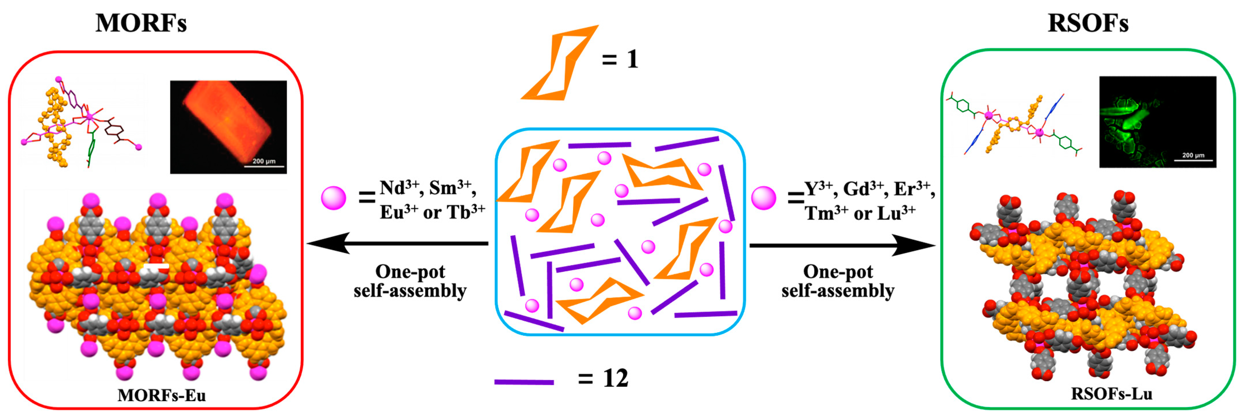 Molecules 26 02426 g006 Molecules 26 02426 g006