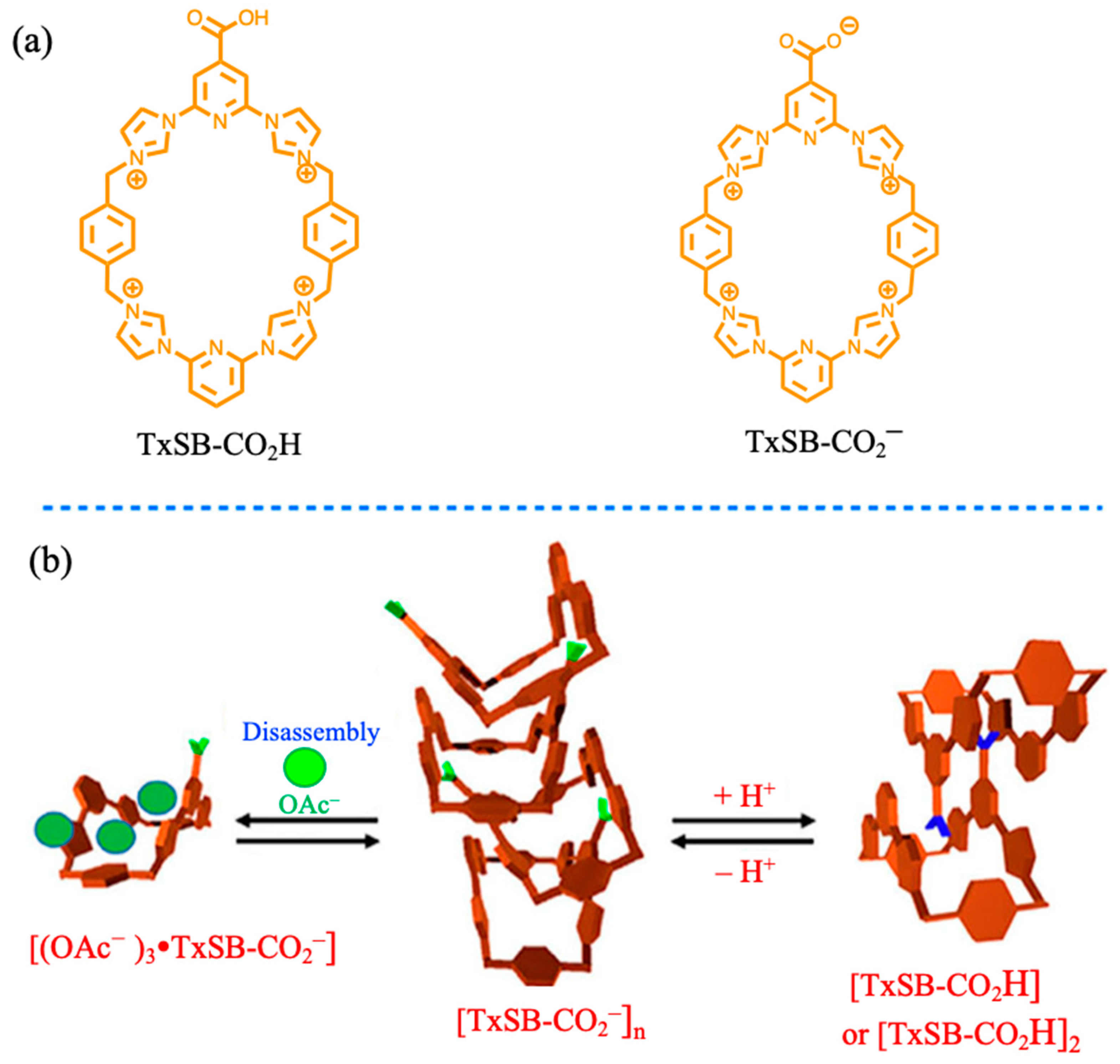Molecules 26 02426 g008 Molecules 26 02426 g008