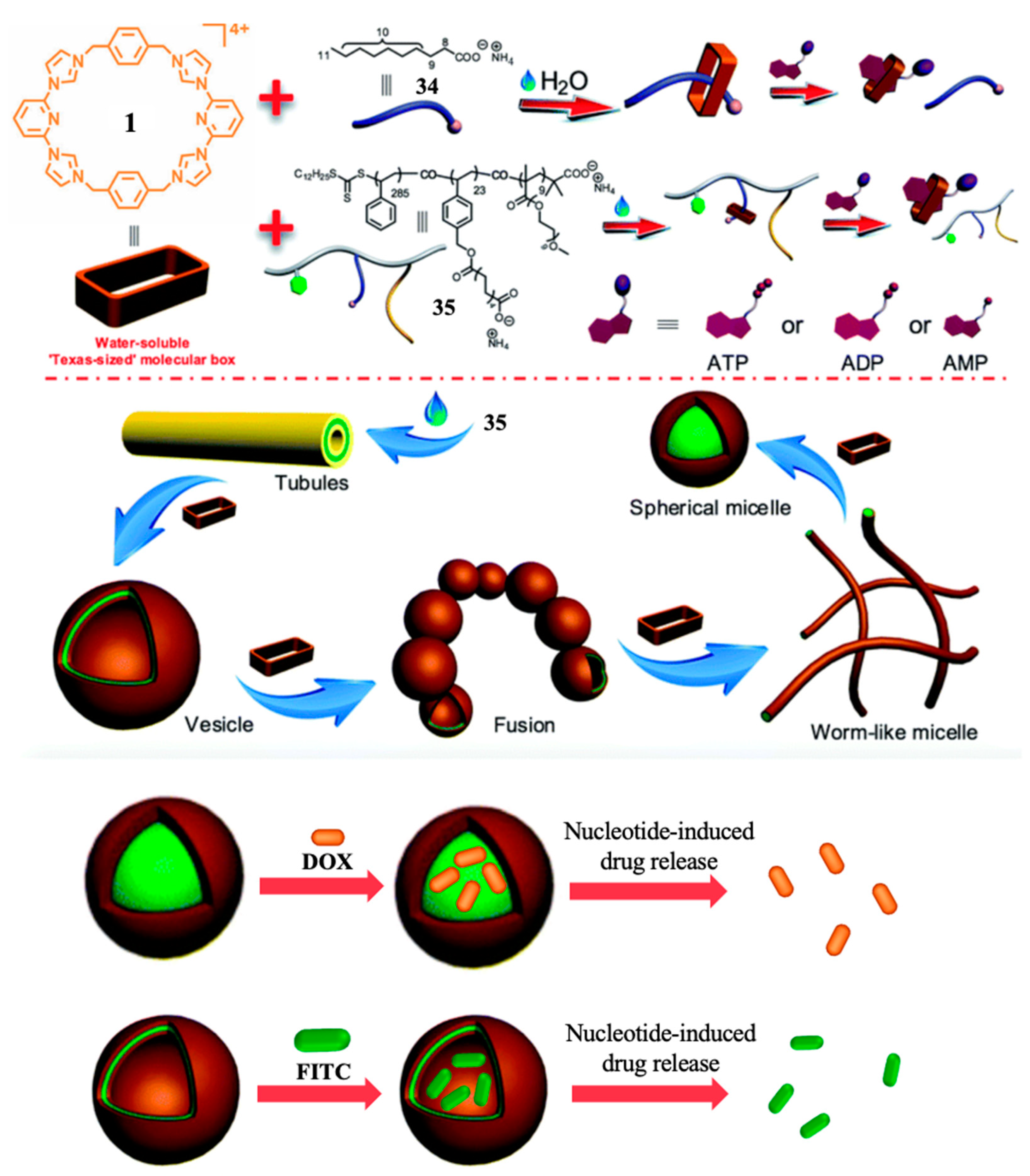 Molecules 26 02426 g011 Molecules 26 02426 g011