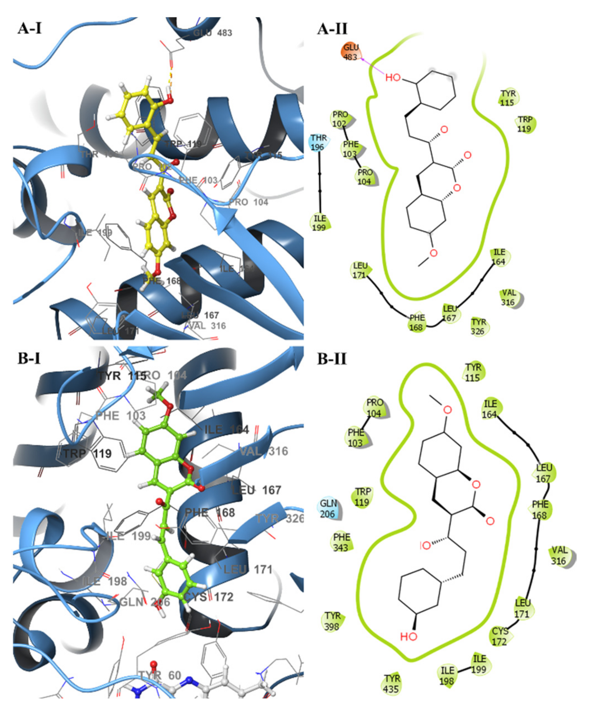 Molecules 26 02430 g006