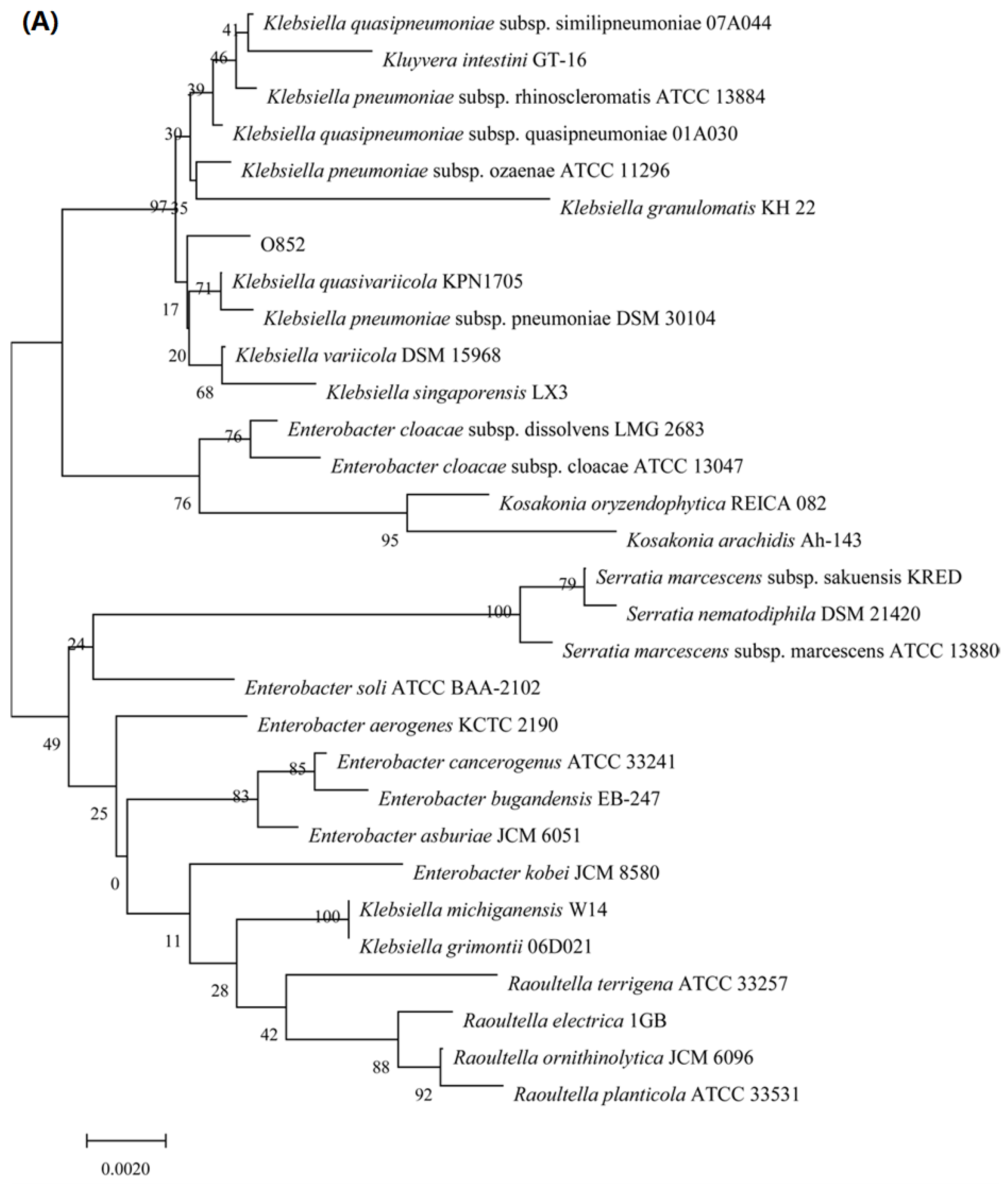 Molecules 26 02432 g002a Molecules 26 02432 g002a