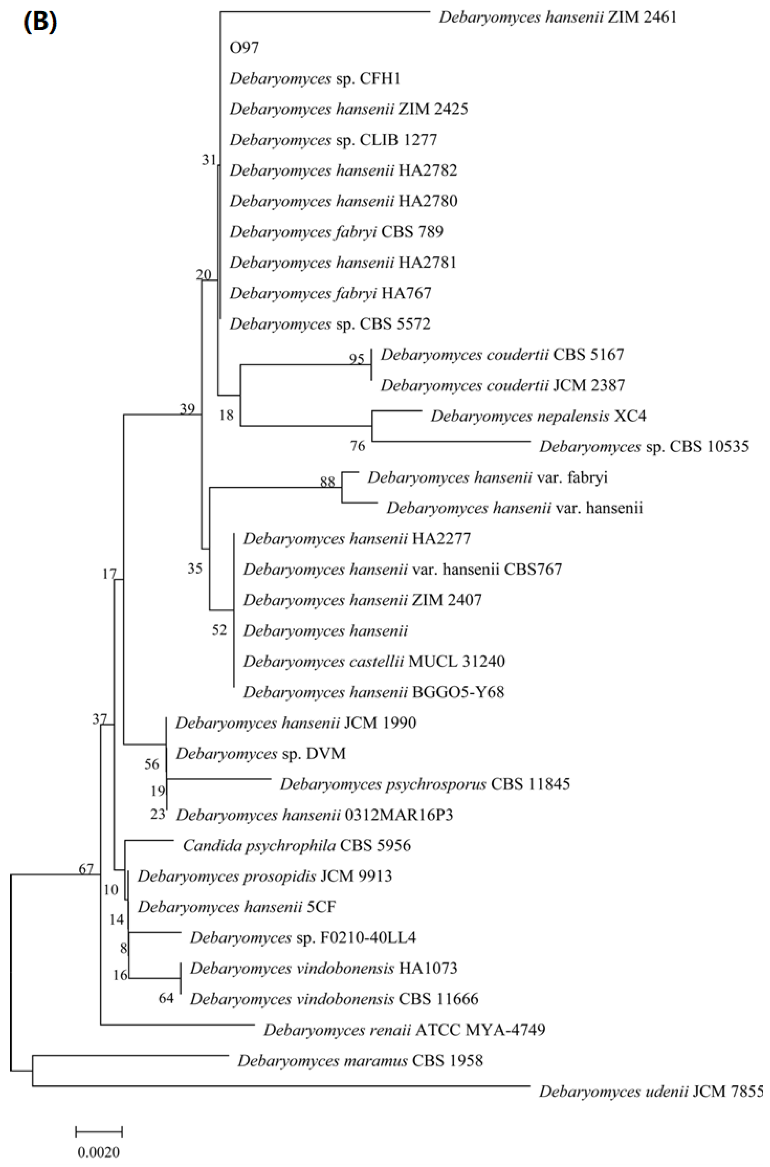 Molecules 26 02432 g002b Molecules 26 02432 g002b