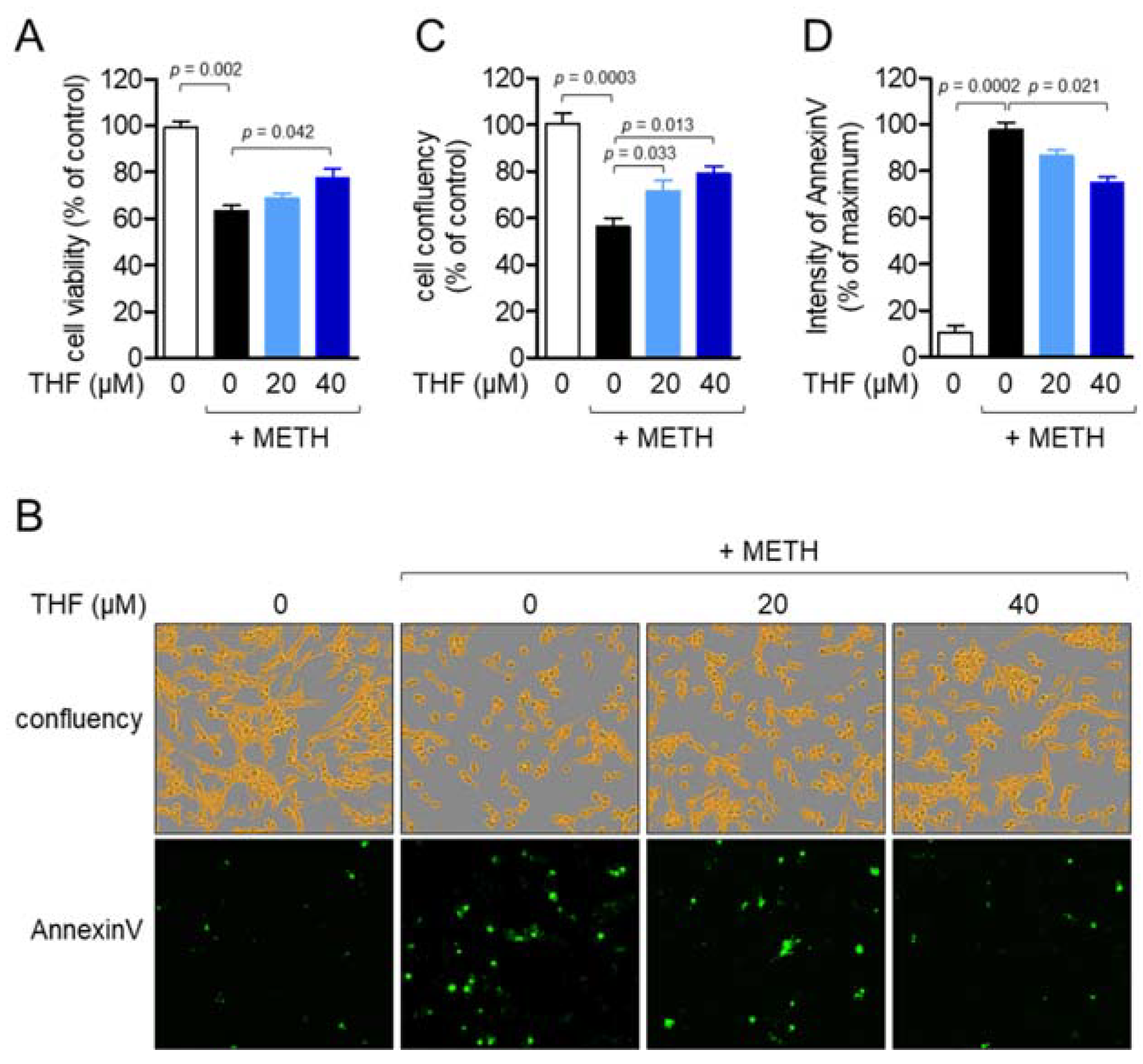 Molecules 26 02442 g002 Molecules 26 02442 g002