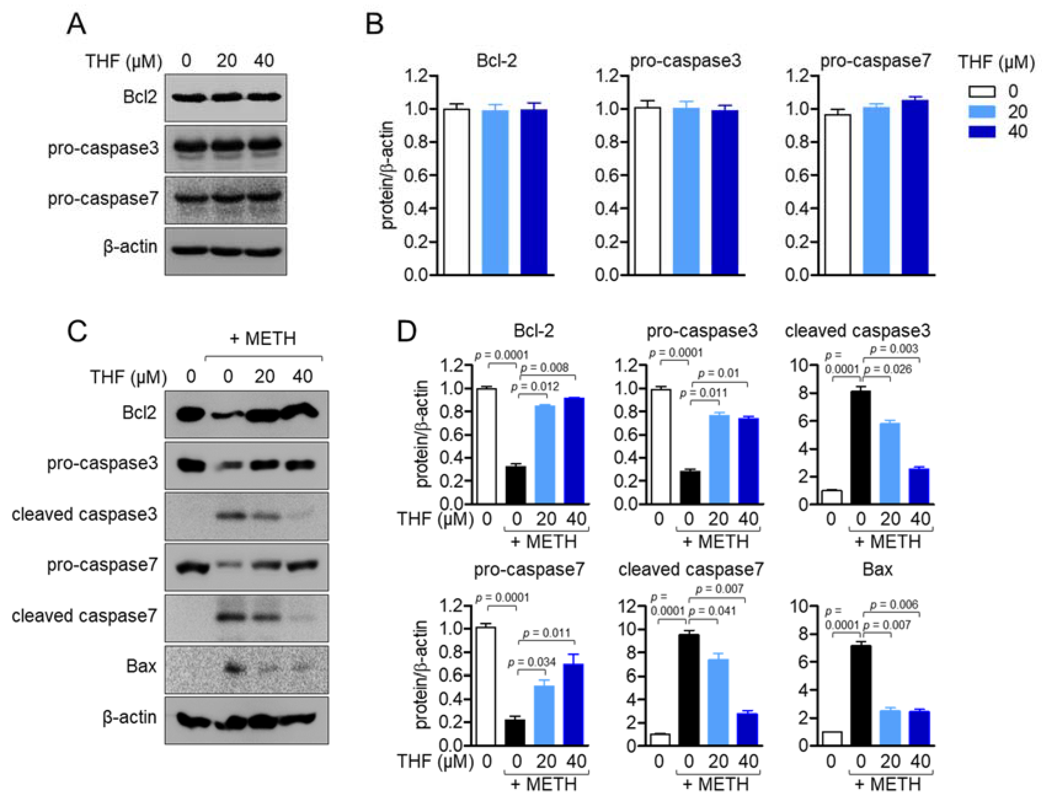 Molecules 26 02442 g003 Molecules 26 02442 g003